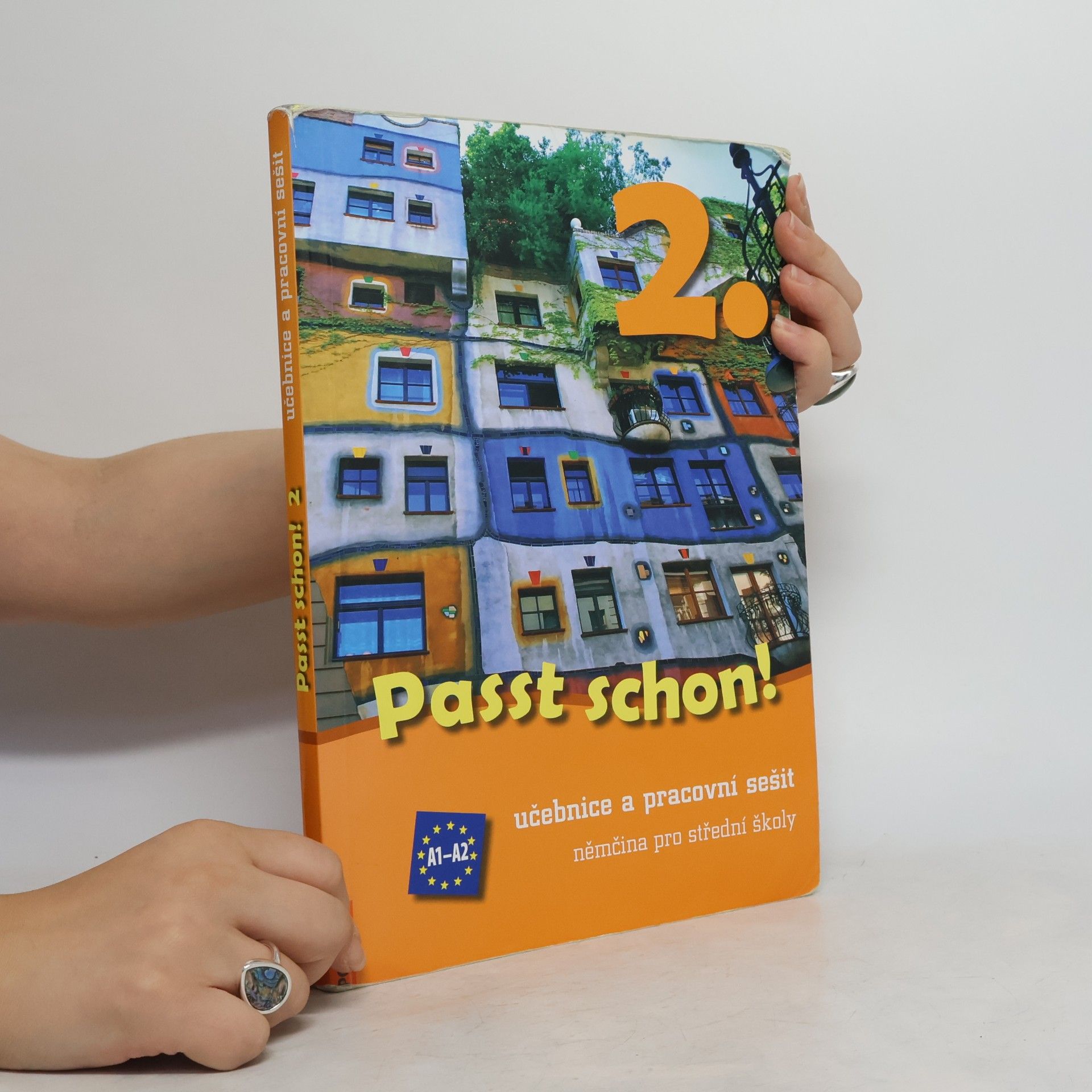 Jens Krüger Passt schon! 2