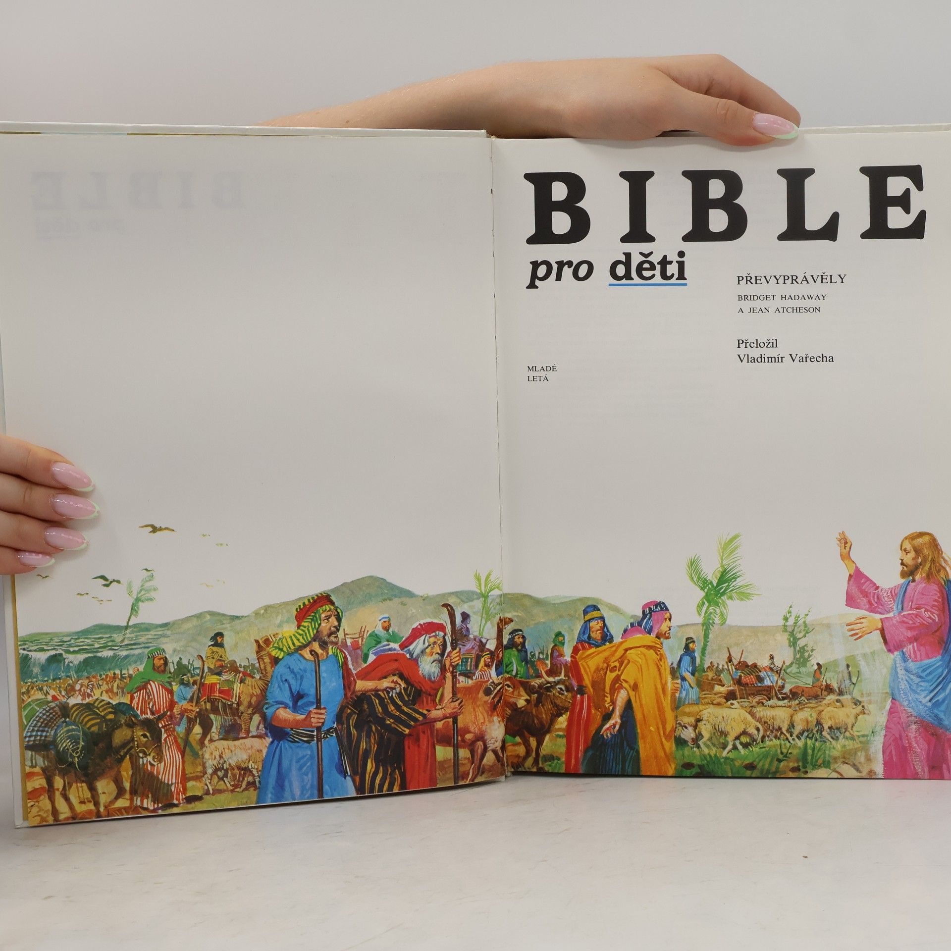 Bridget Hadaway Bible pro děti