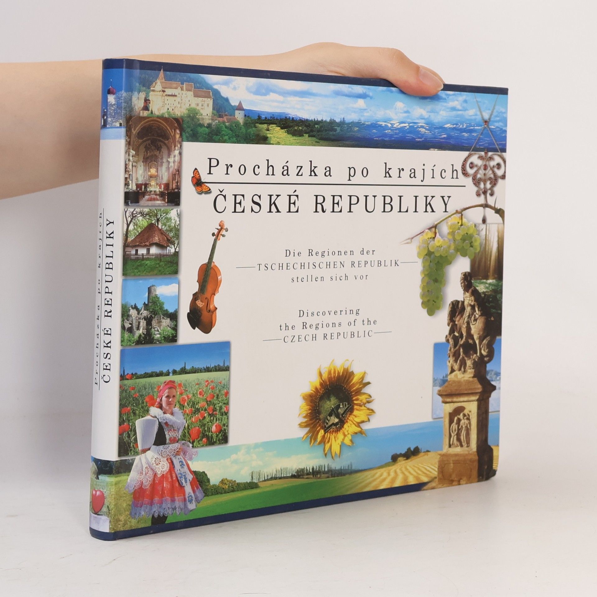 Autorenkollektiv Procházka po krajích České republiky