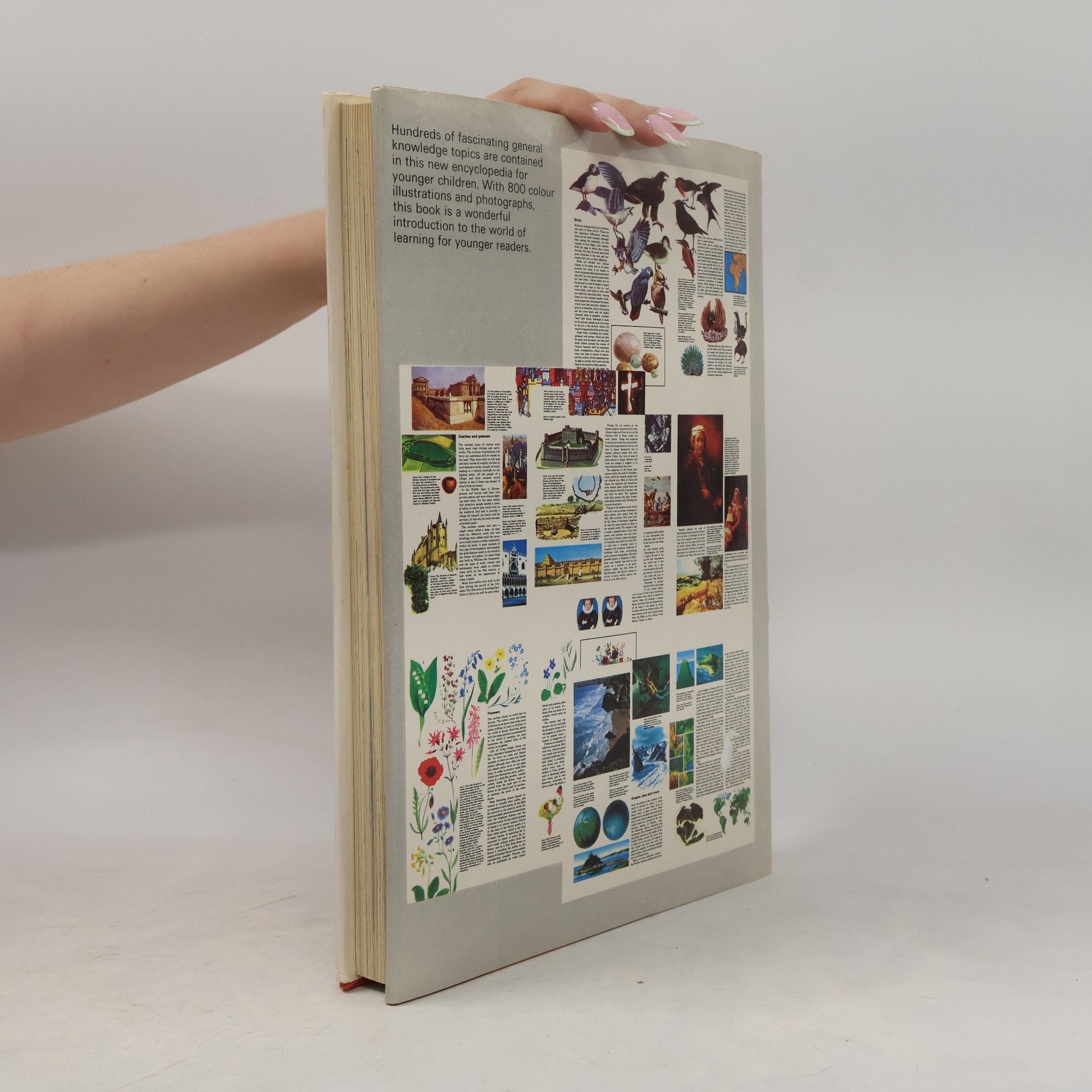 Kenneth Bailey The Hamlyn Younger Children's Encyclopedia