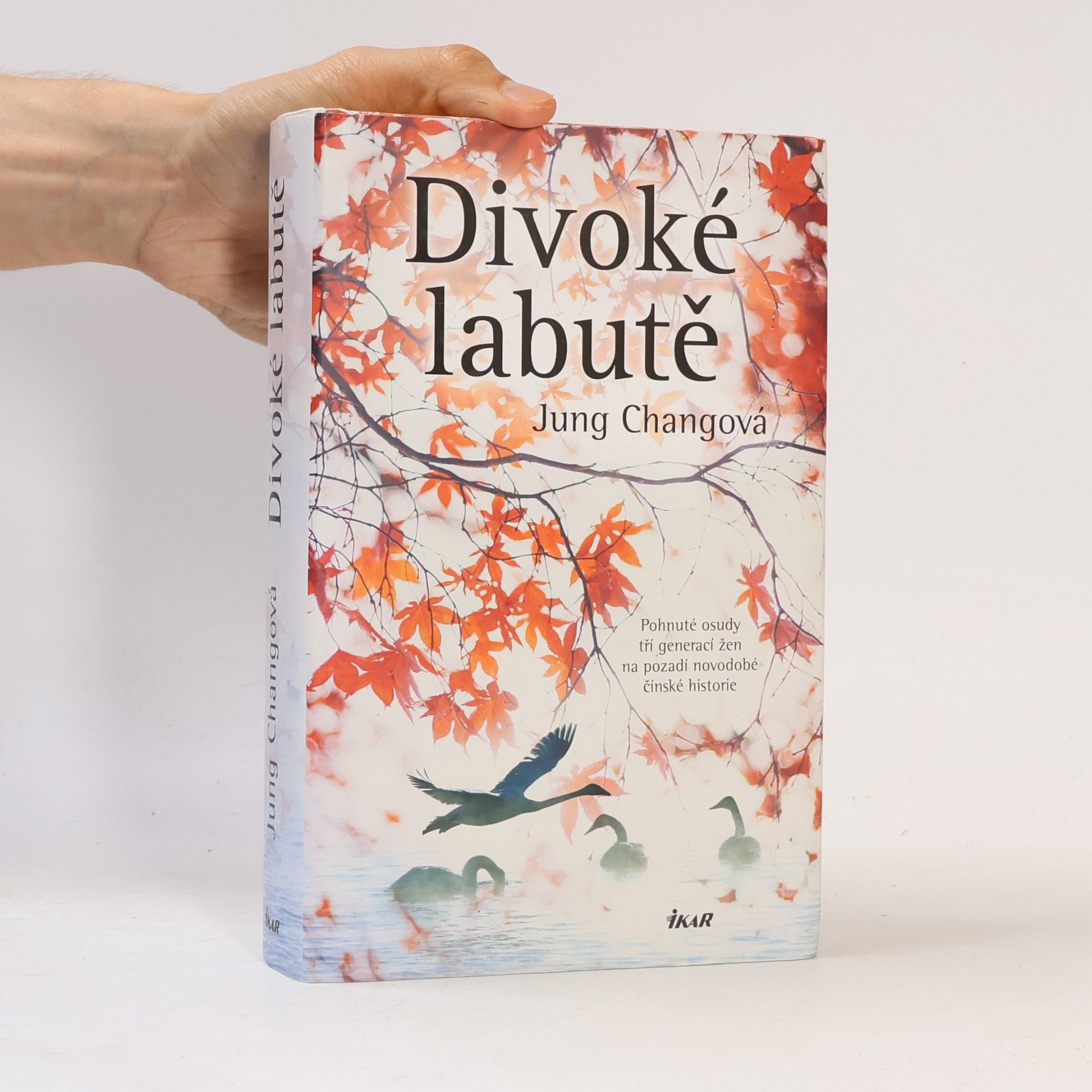 Jung Chang Divoké labutě