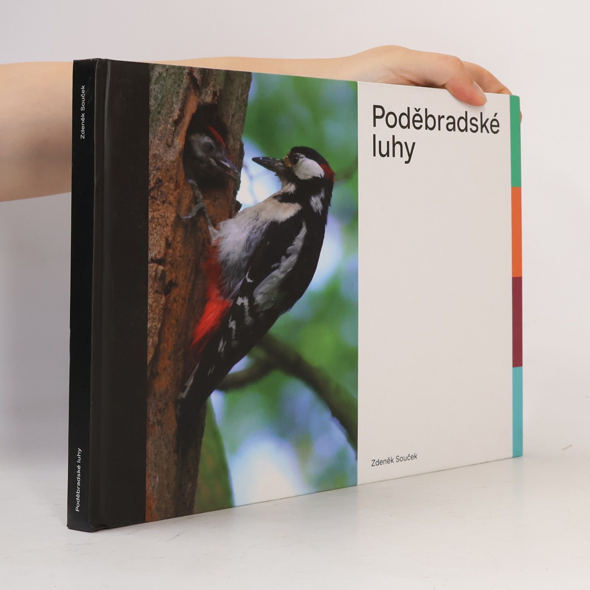 Poděbradské luhy