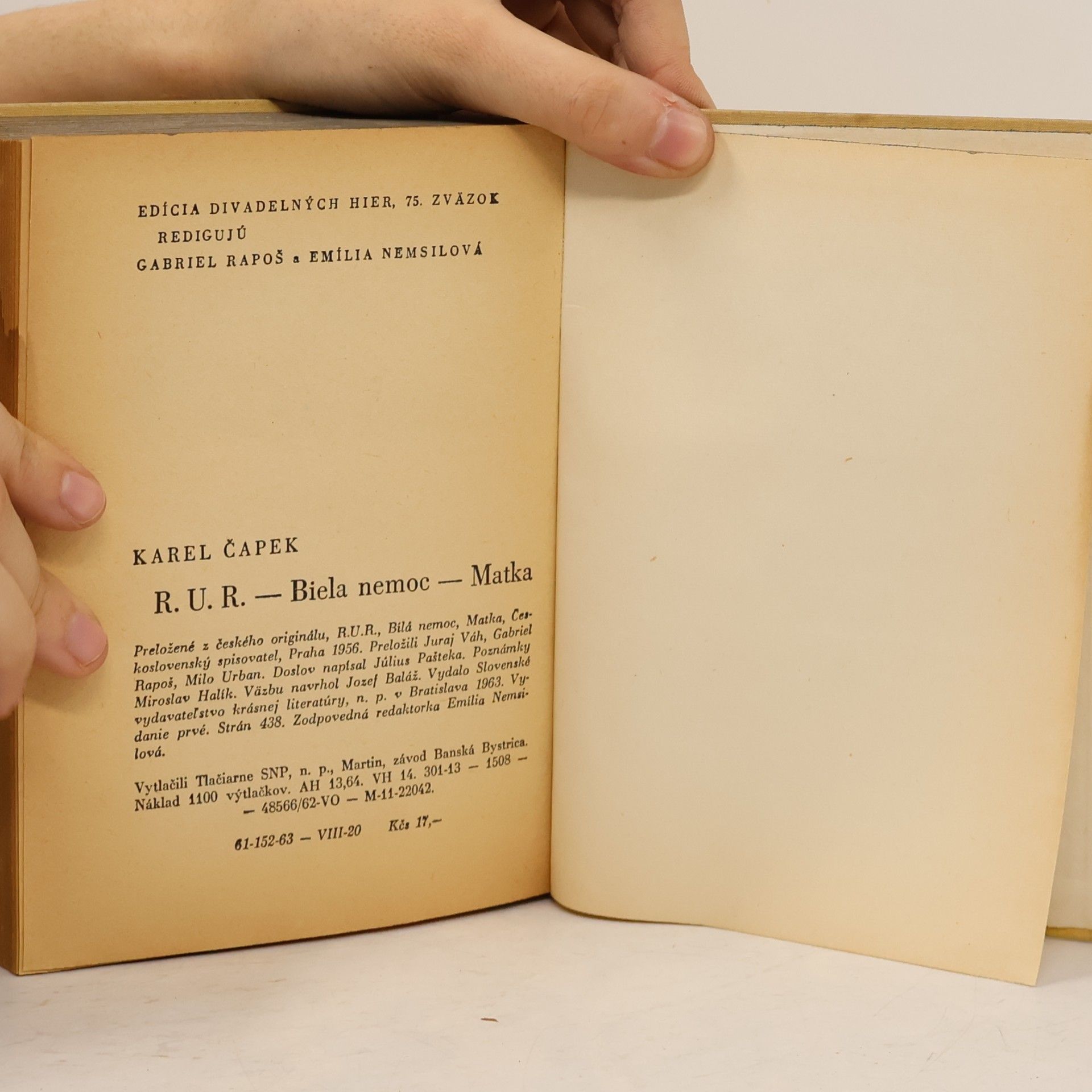Karel Čapek R. U. R., Biela nemoc, Matka