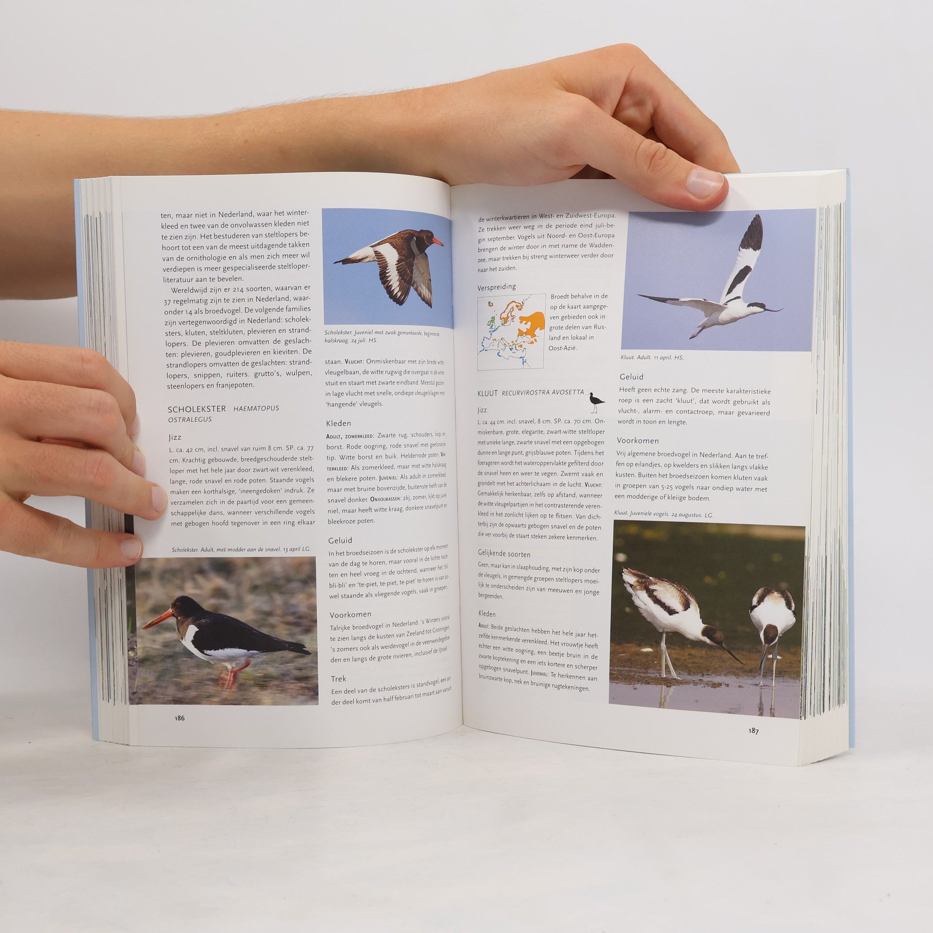 Lars Gejl Tirion natuur: Handboek vogels