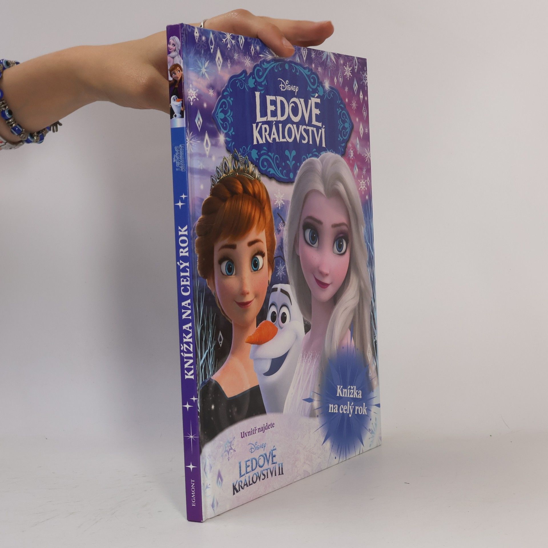 Kolektiv autorů Ledové království