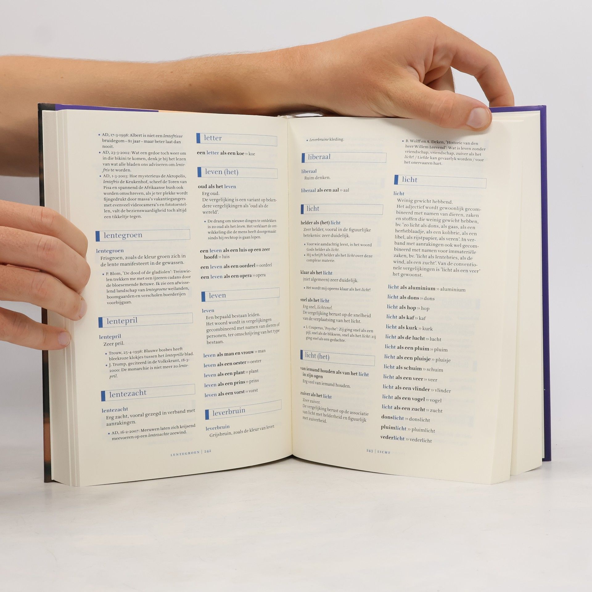 Ton den Boon Groot vergelijkingen woordenboek