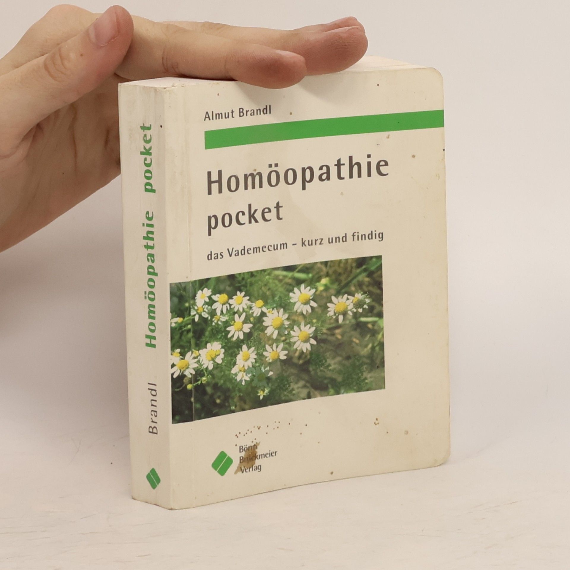 Almut Brandl Homöopathie pocket