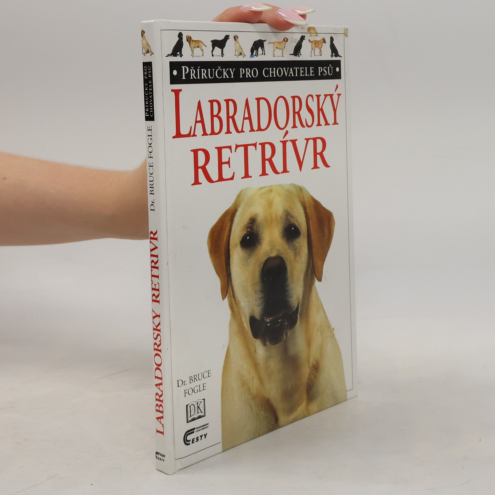 Bruce Folge Labradorský retrívr