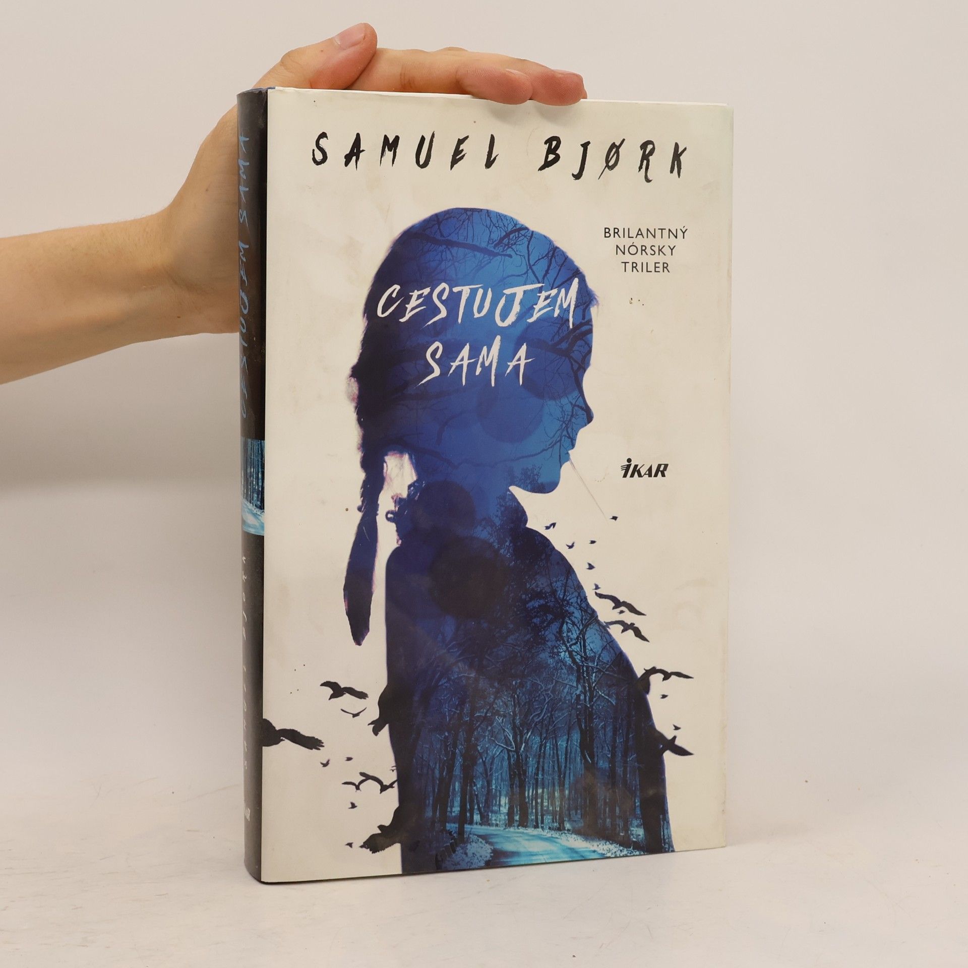 Samuel Bjork Cestujem sama