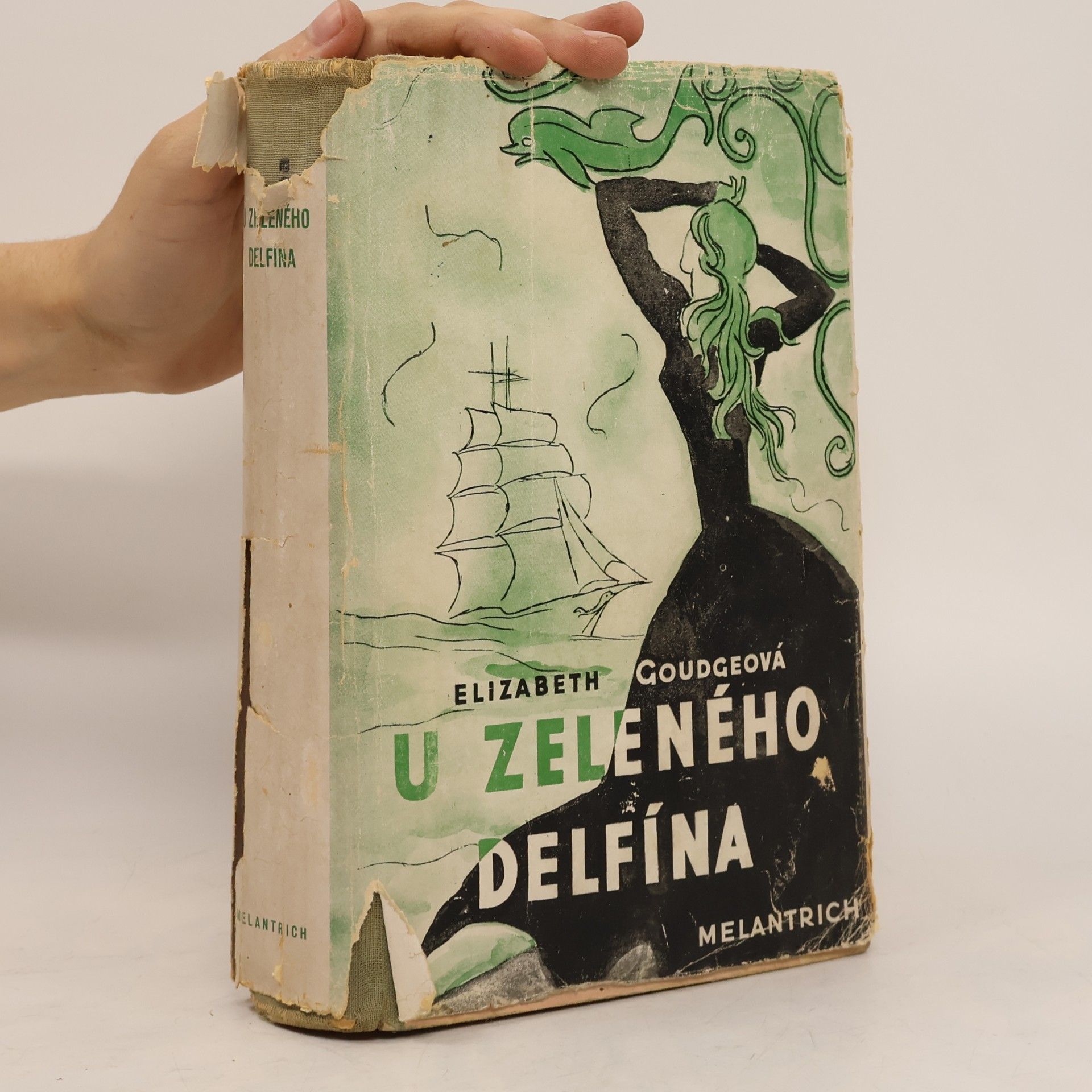 U zeleného delfína