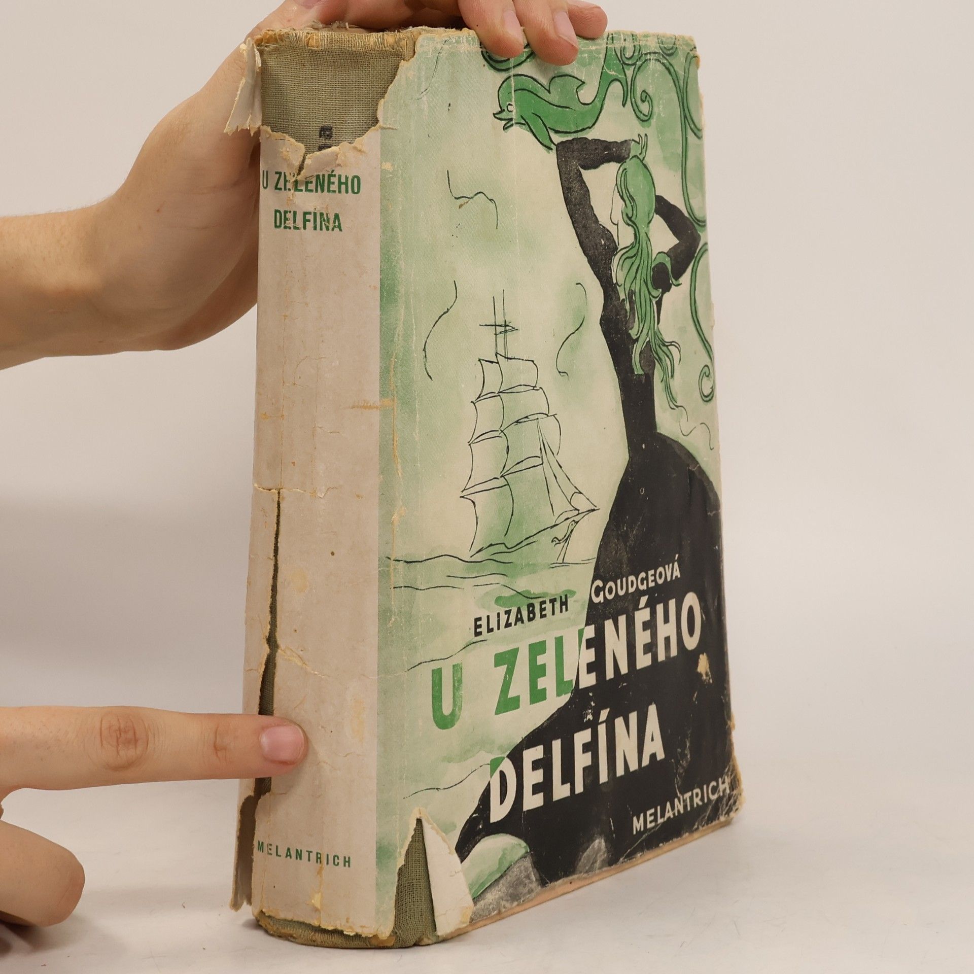 Elizabeth Goudge U zeleného delfína