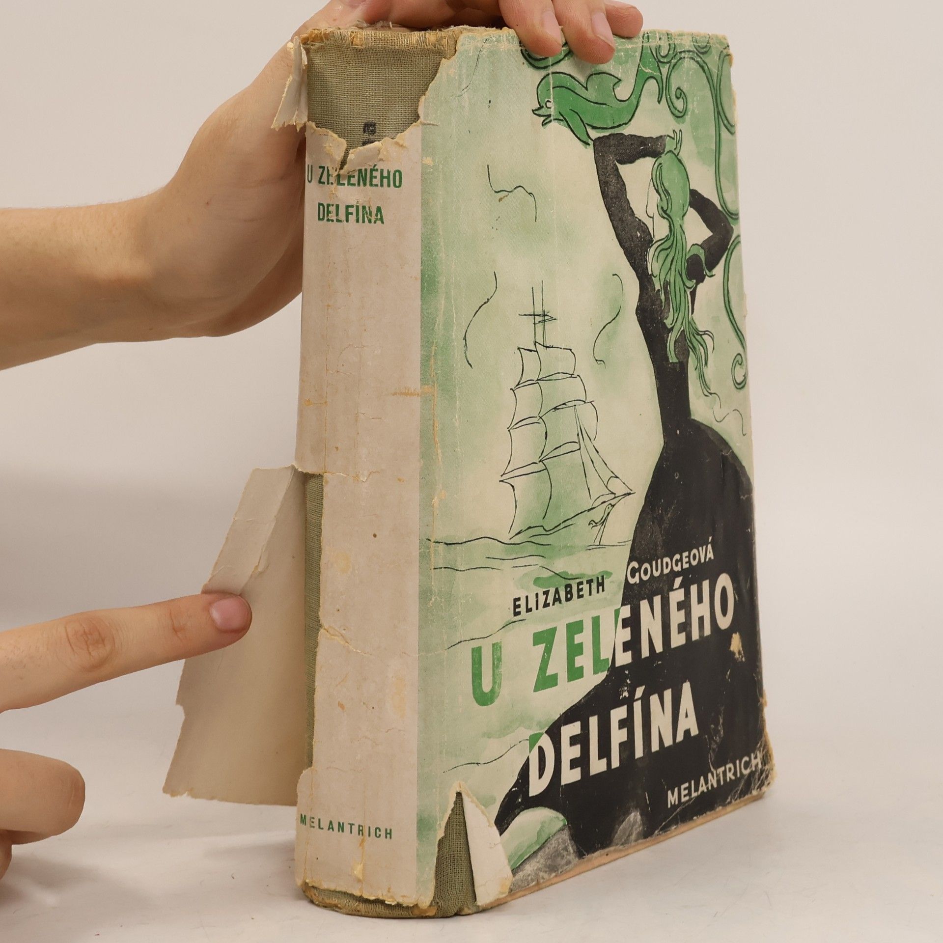 Elizabeth Goudge U zeleného delfína
