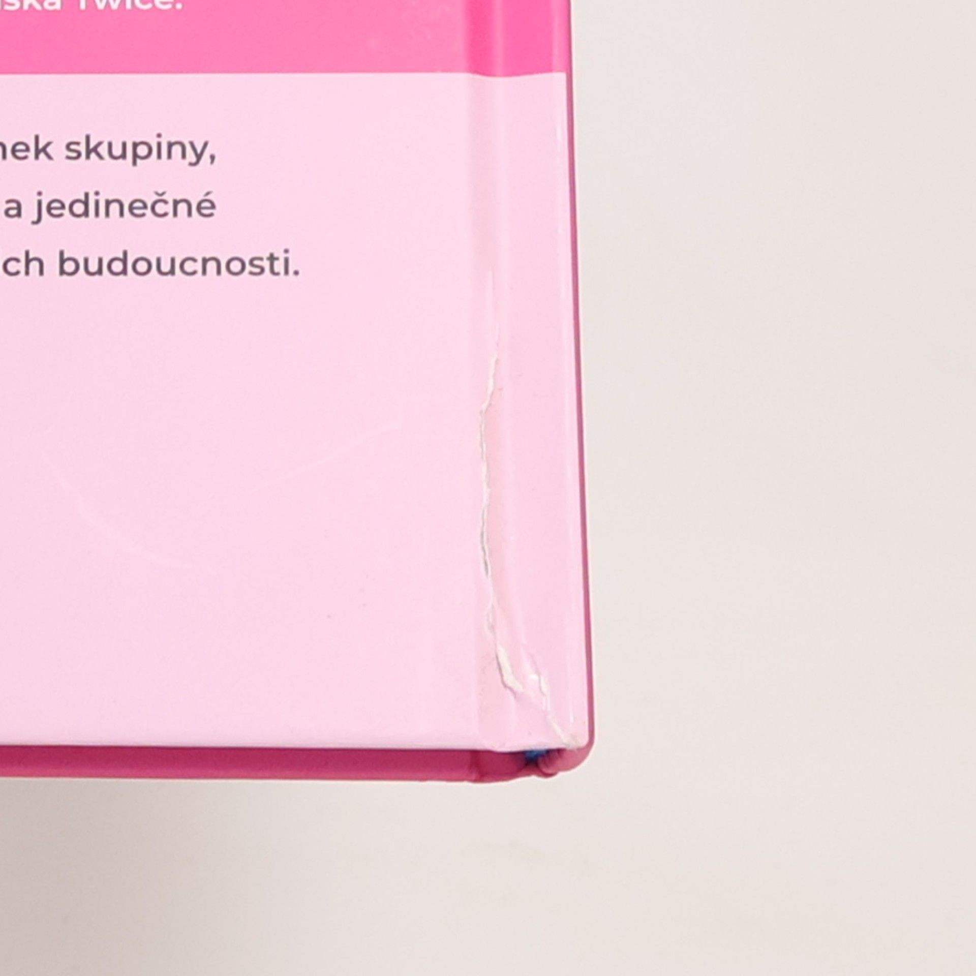 Jamie Heal Twice. Příběh slavné dívčí k-popové skupiny