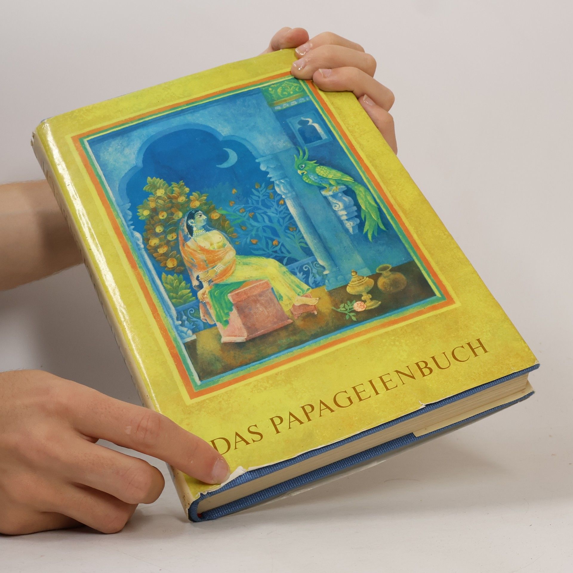 Autorenkollektiv Das Papageienbuch