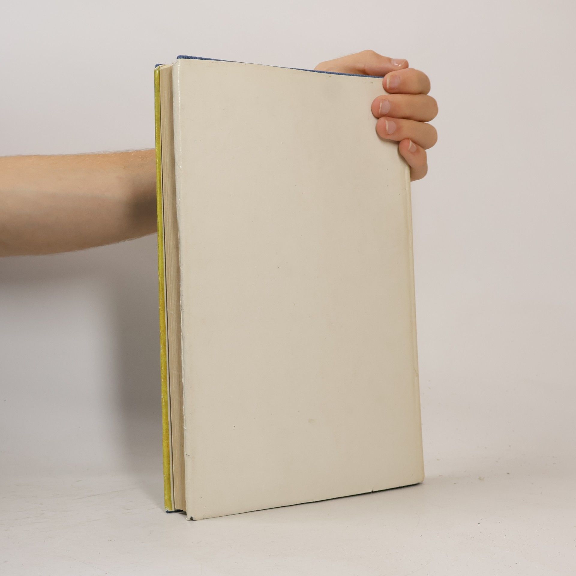Autorenkollektiv Das Papageienbuch