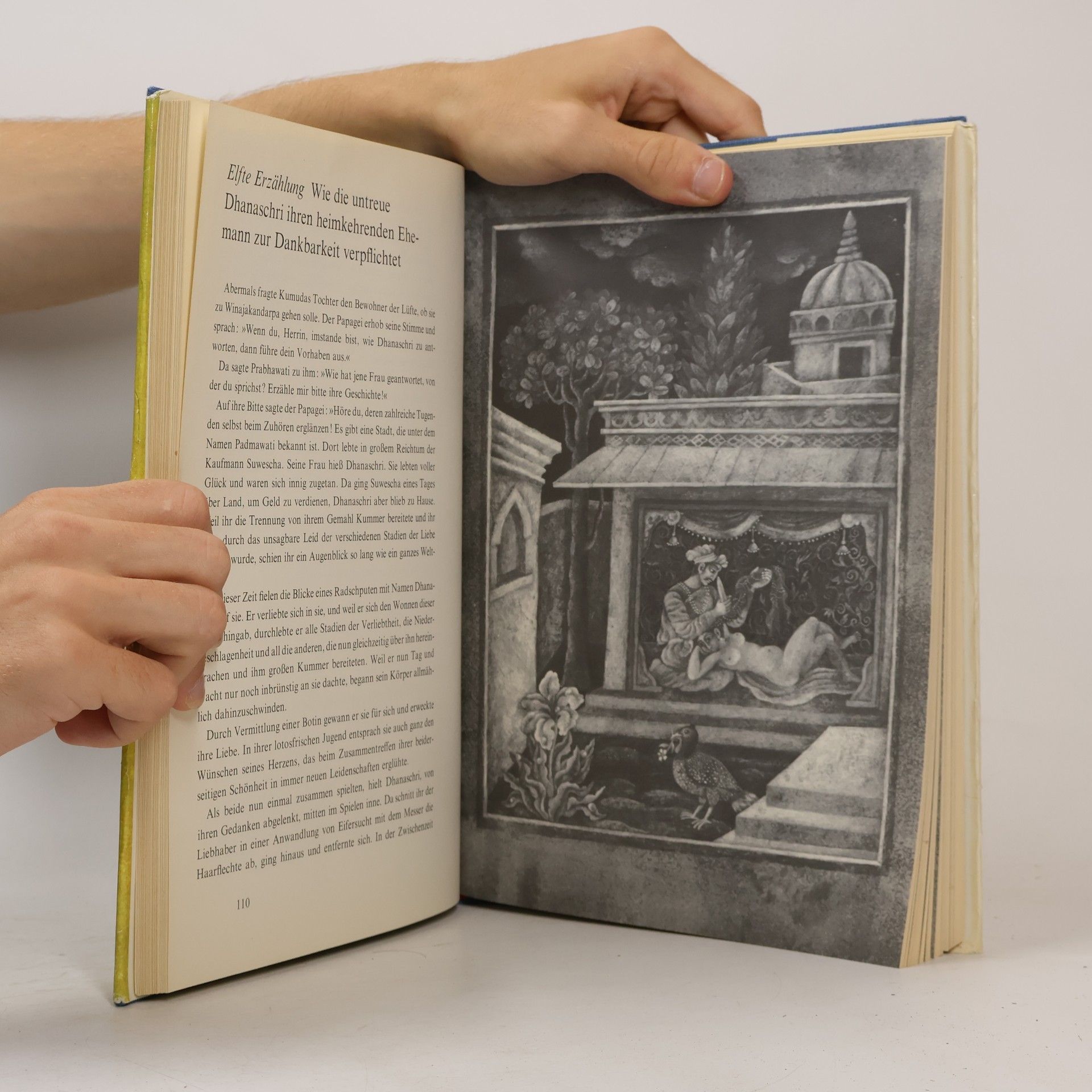 Autorenkollektiv Das Papageienbuch