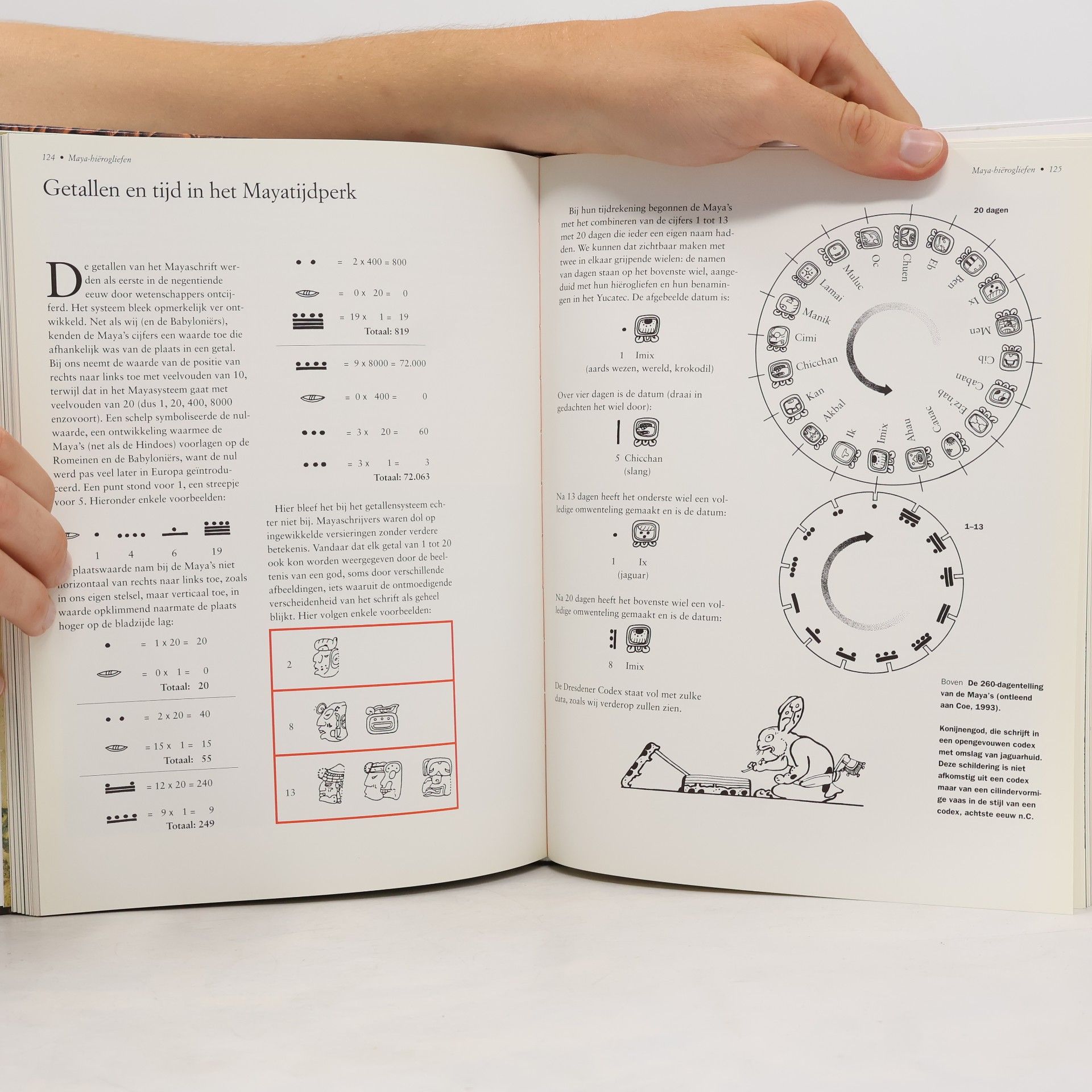 Andrew J. Robinson Alfabet, hieroglief en pictogram