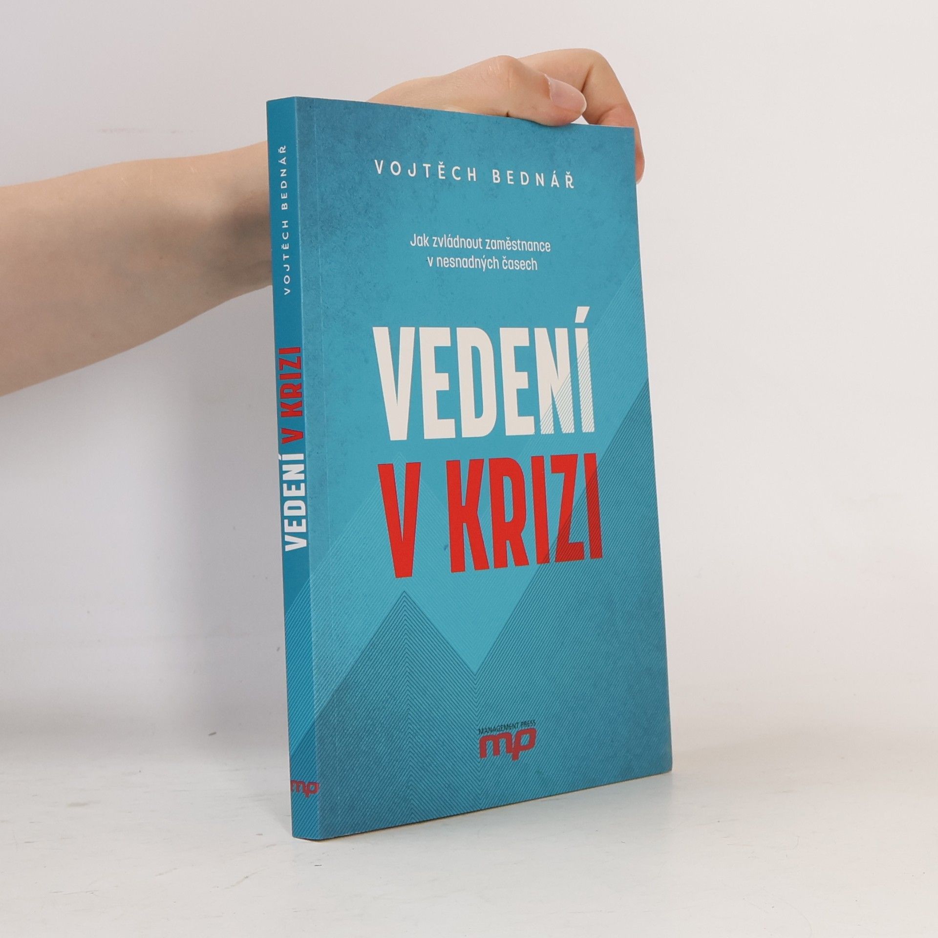Vojtěch Bednář Vedení v krizi