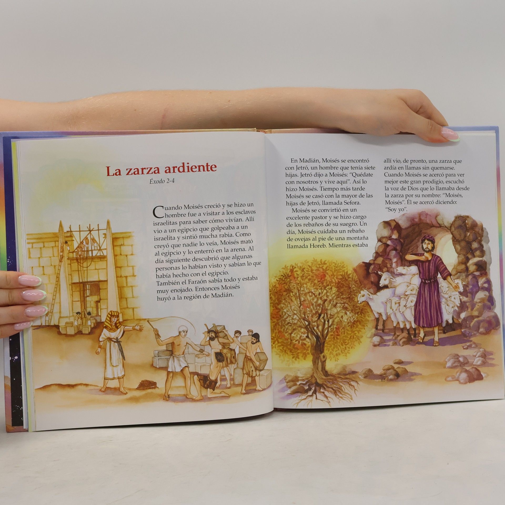Melissa Wright La historia del amor de Dios. Mi Biblia