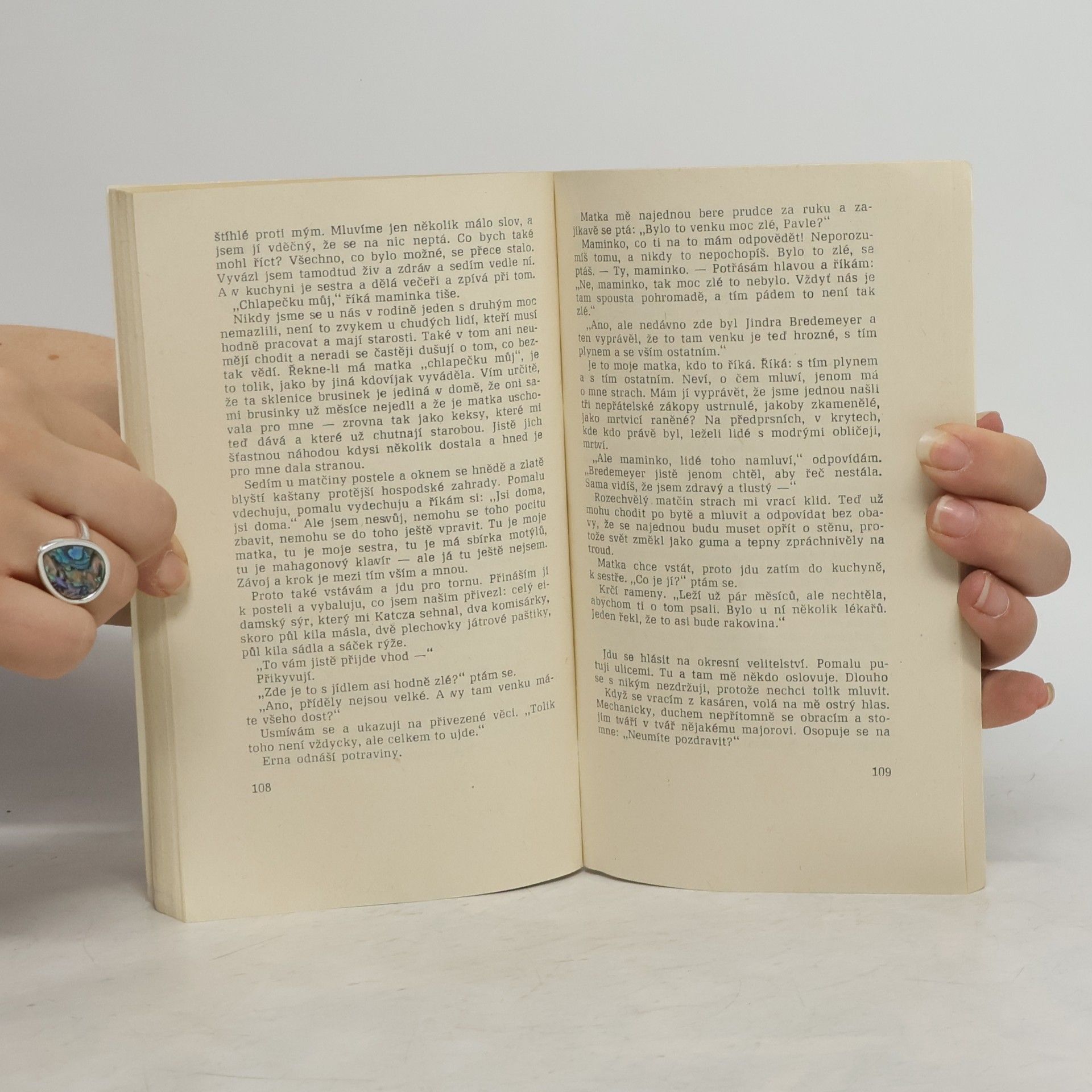Erich Maria Remarque Na západní frontě klid