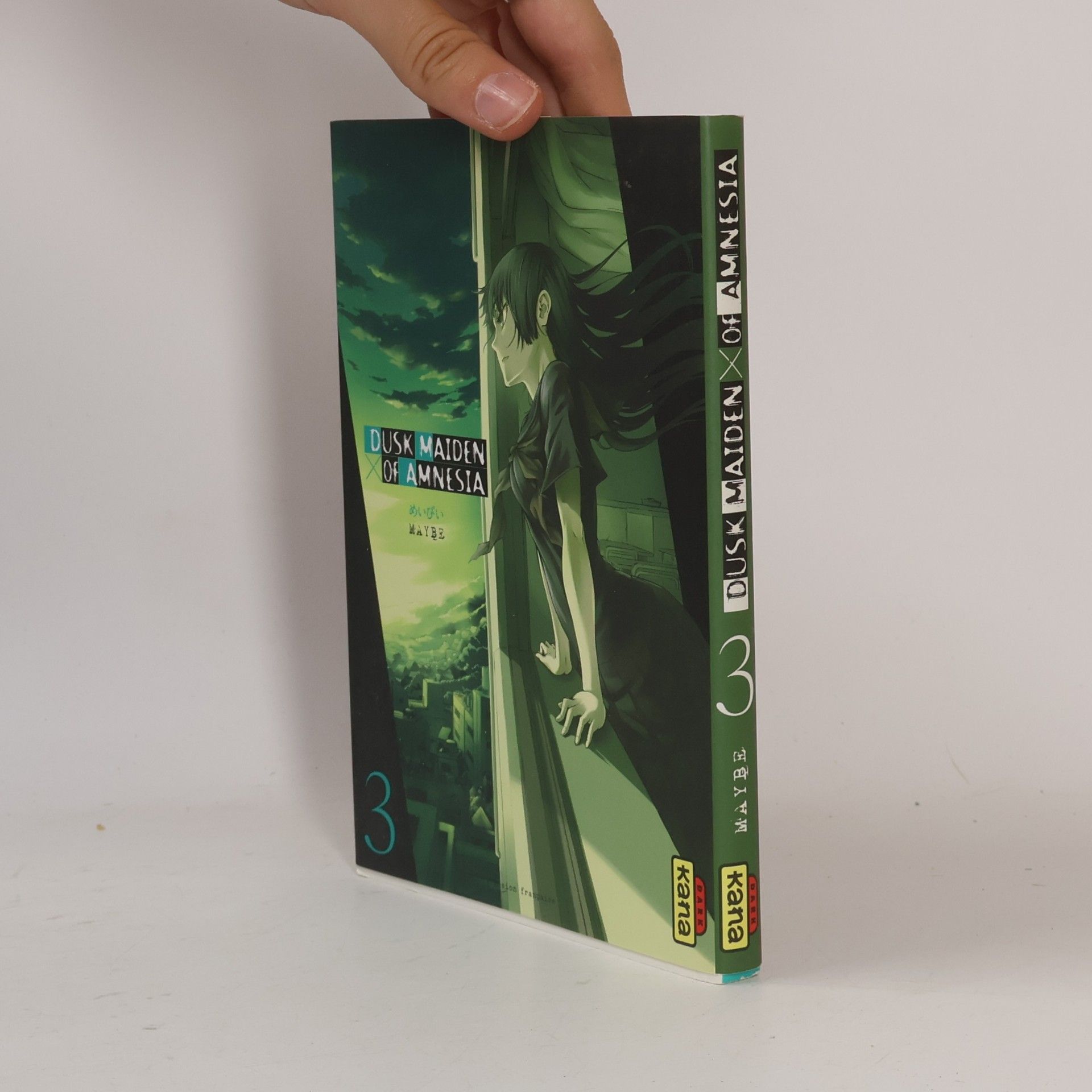 Thibaud Desbief Dusk Maiden of Amnesia, Tome 3