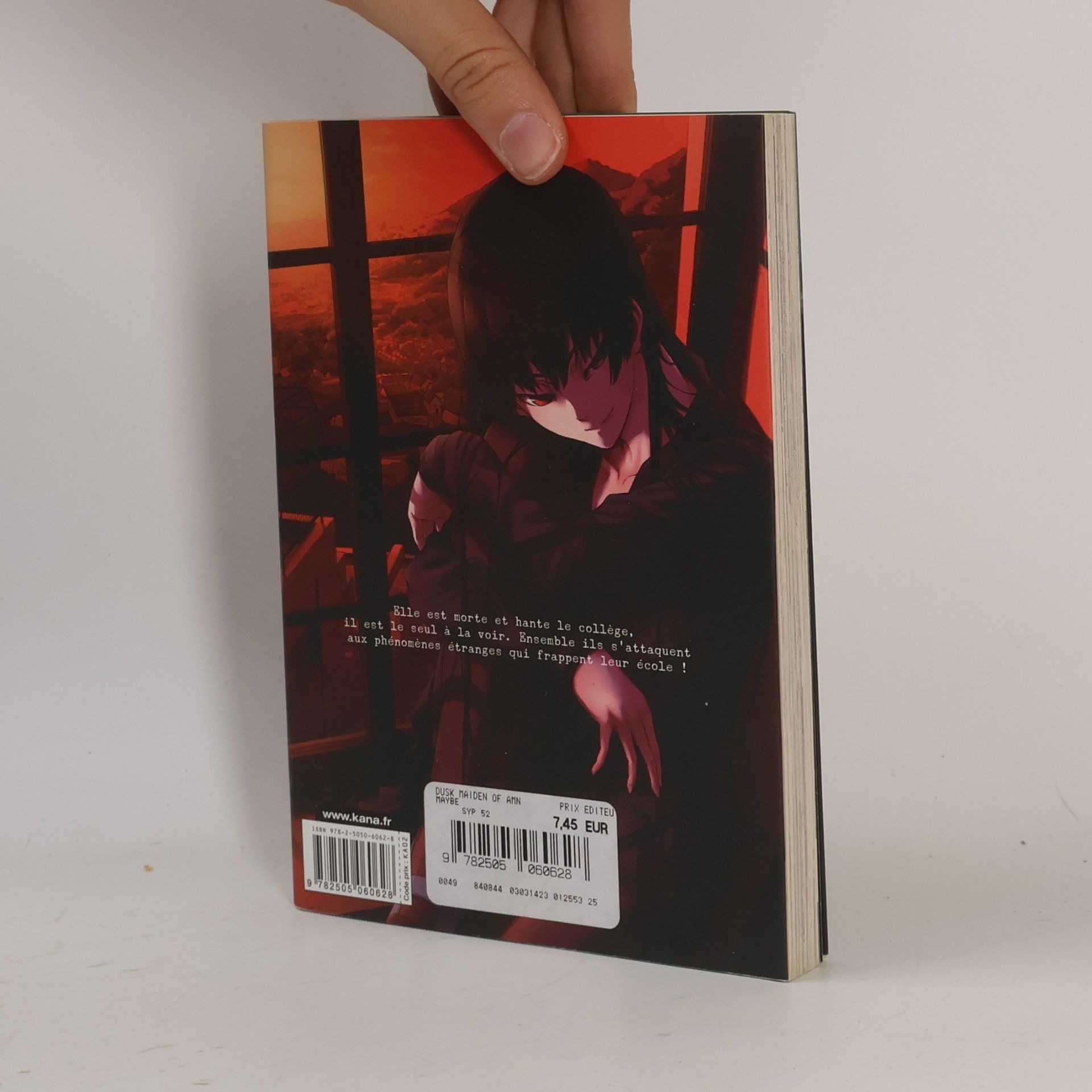 Thibaud Desbief Dusk Maiden of Amnesia, Tome 3
