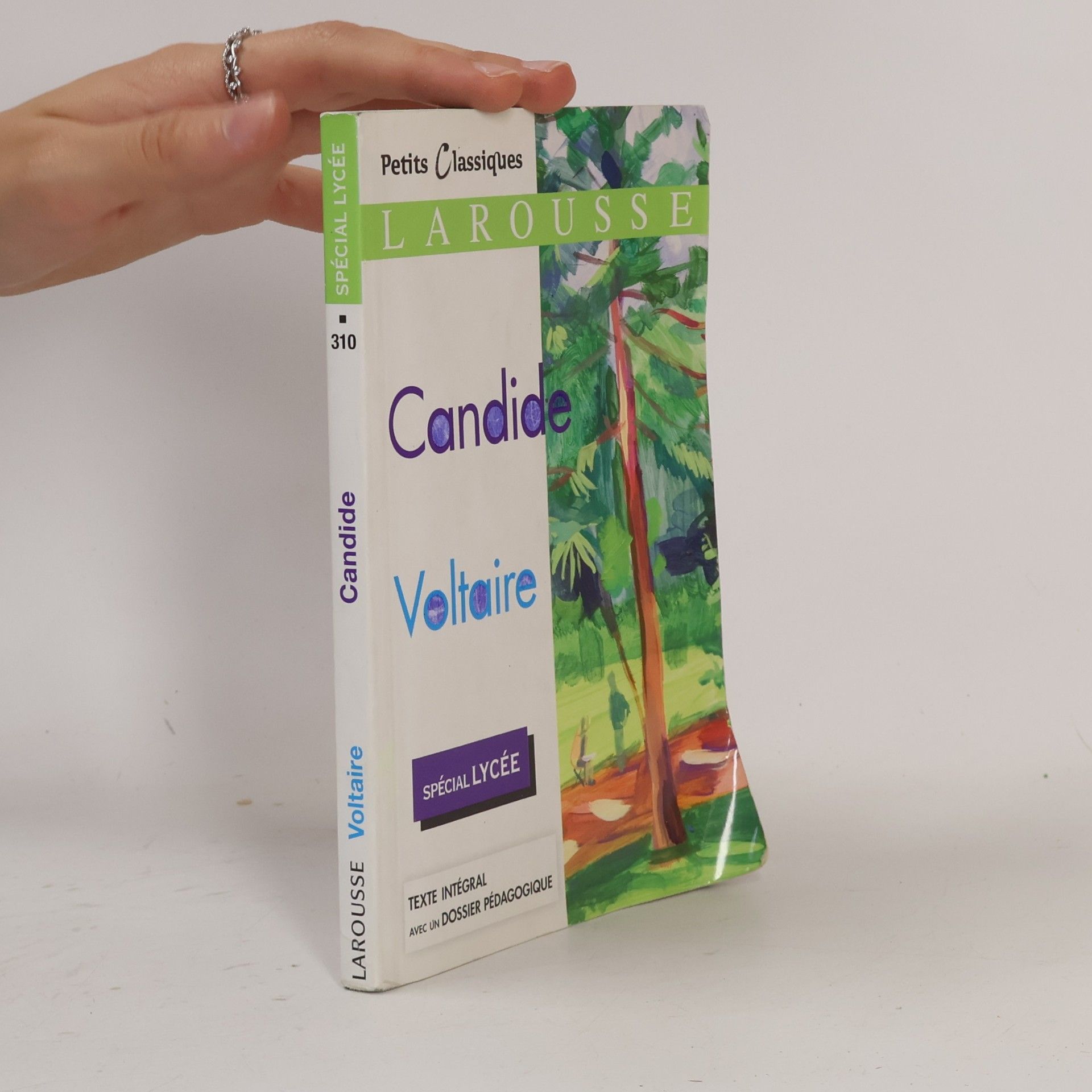Voltaire Candide