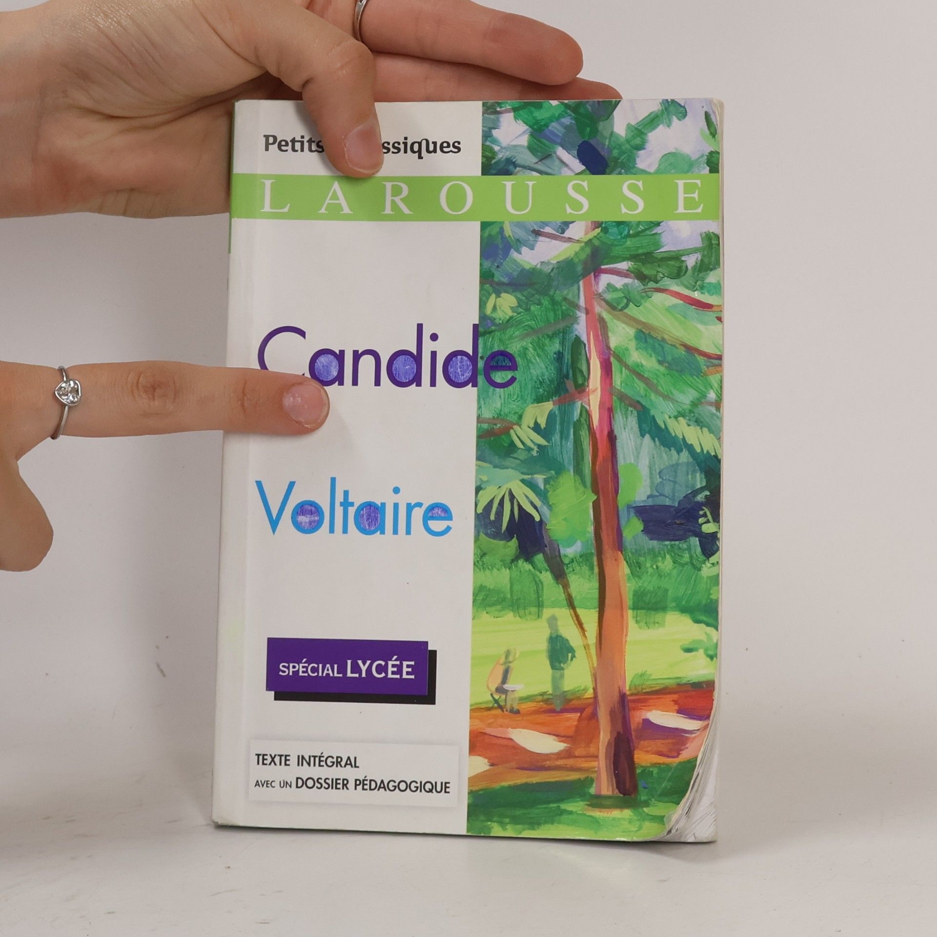 Voltaire Candide