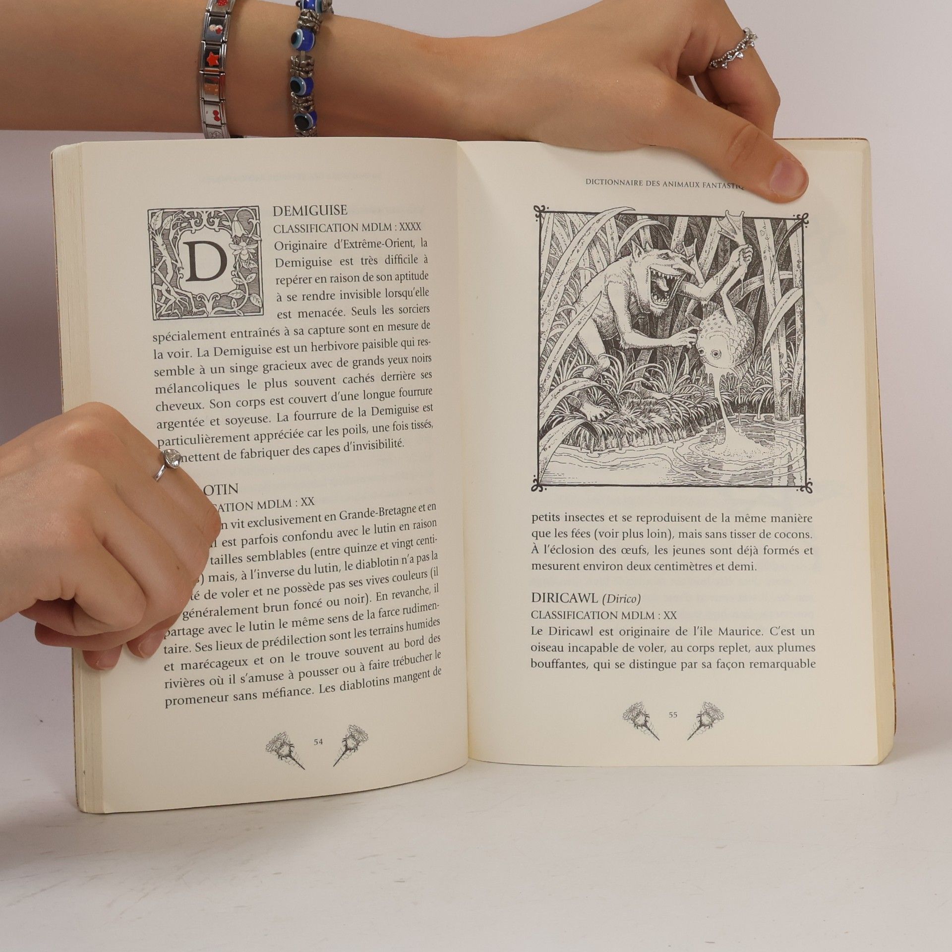 Norbert Dragonneau Les animaux fantastiques