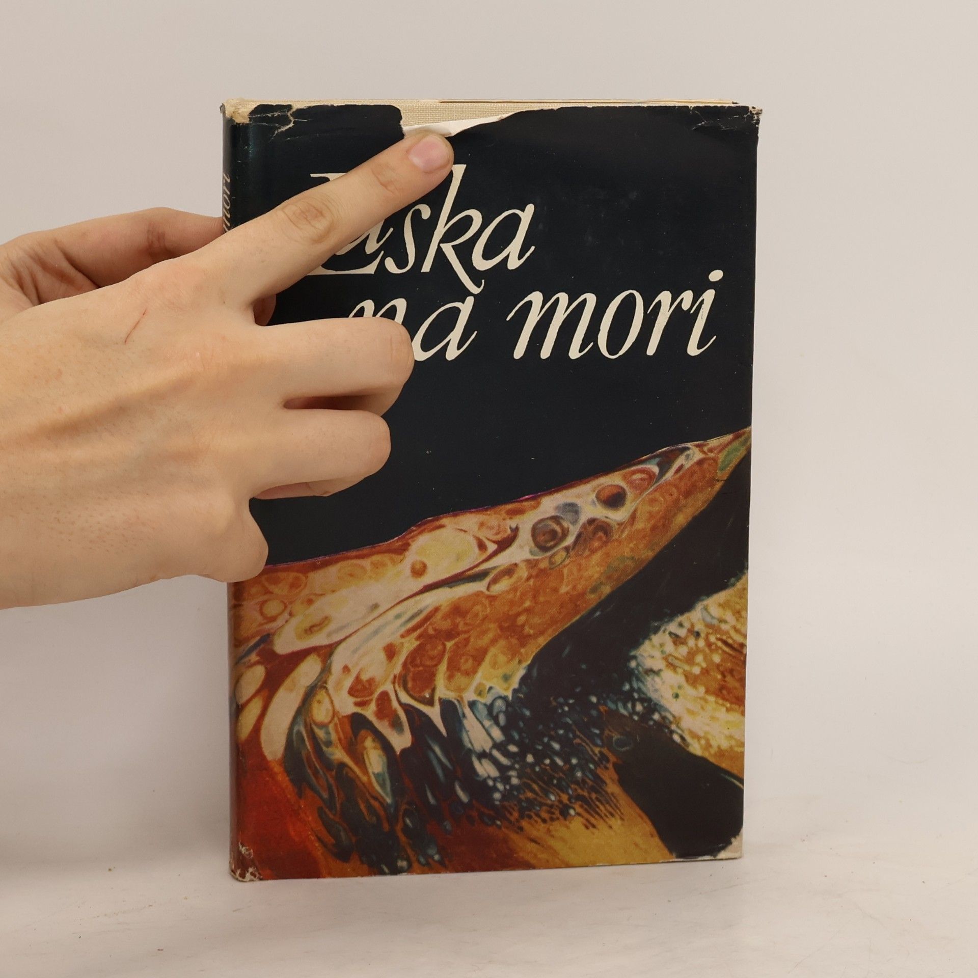 Antun Šoljan Láska na mori