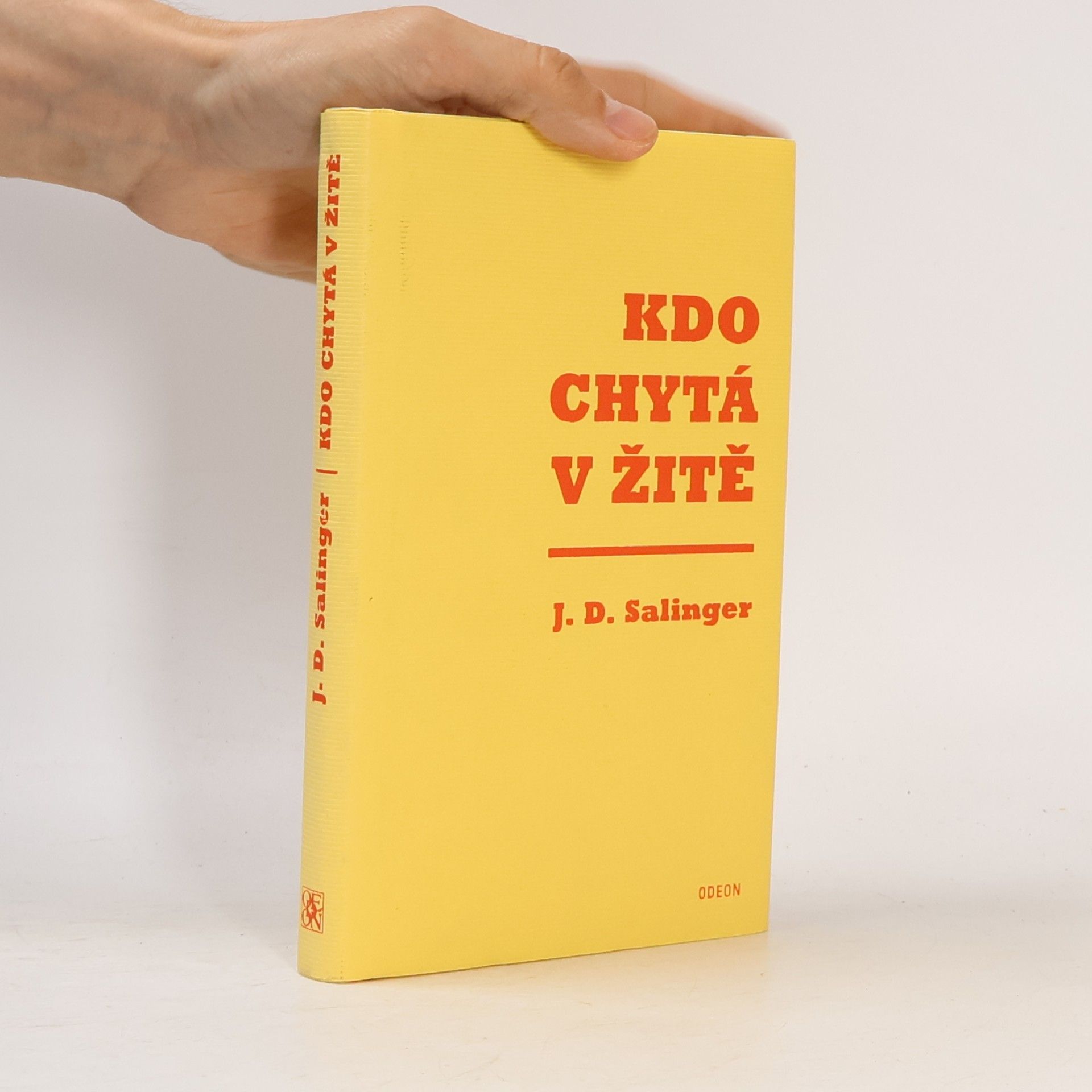 J. D. Salinger Kdo chytá v žitě
