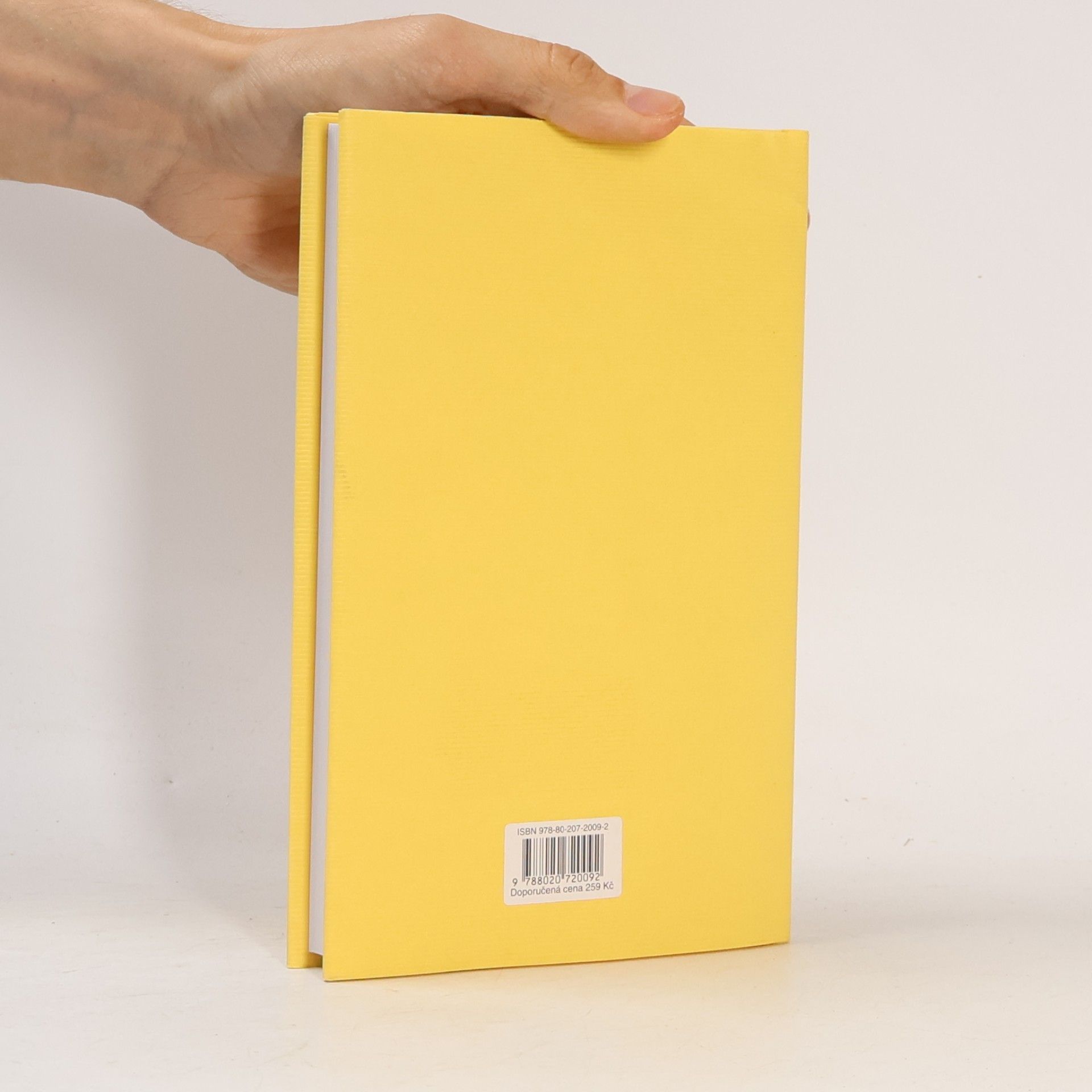 J. D. Salinger Kdo chytá v žitě