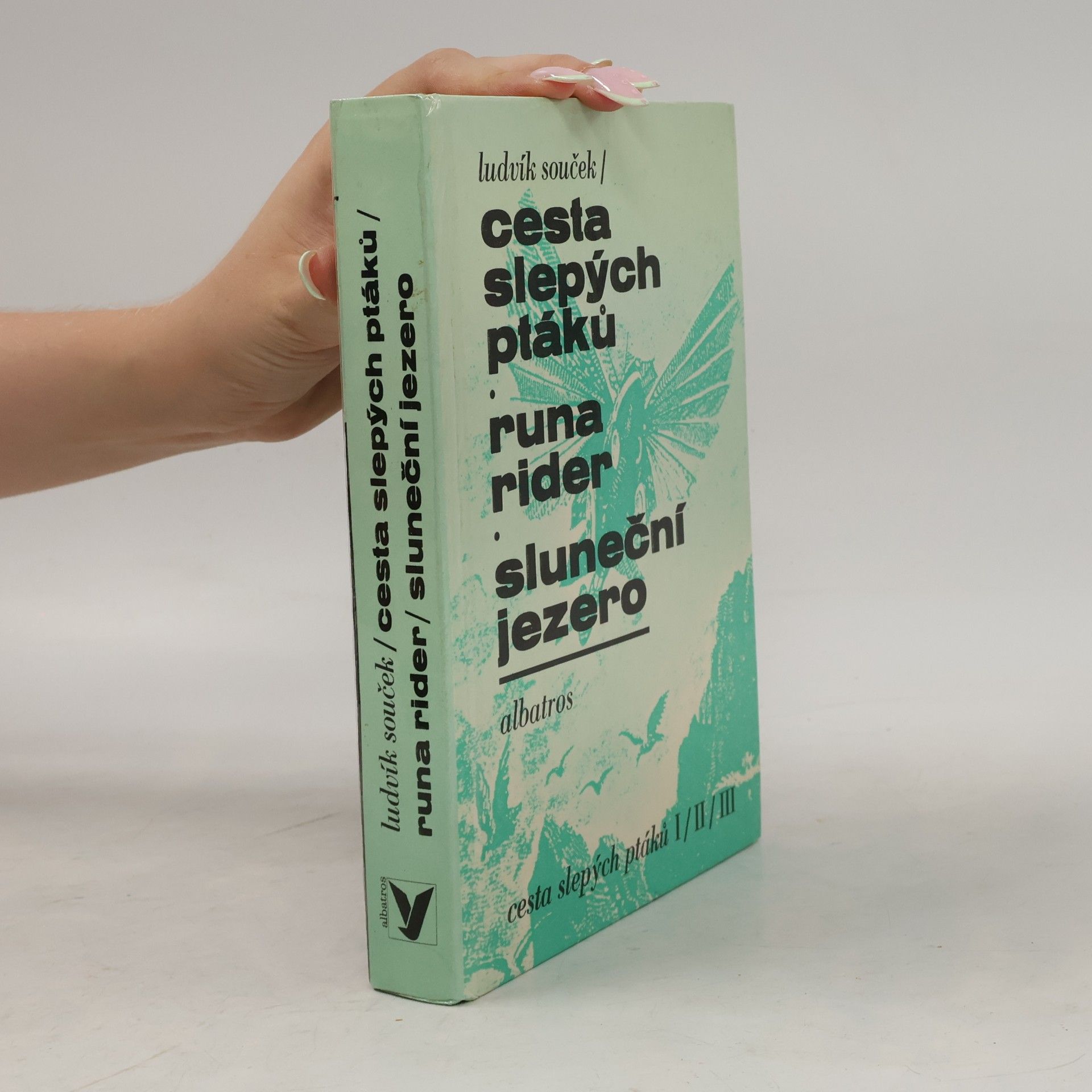 Ludvík Souček Cesta slepých ptáků. Runa rider. Sluneční jezero