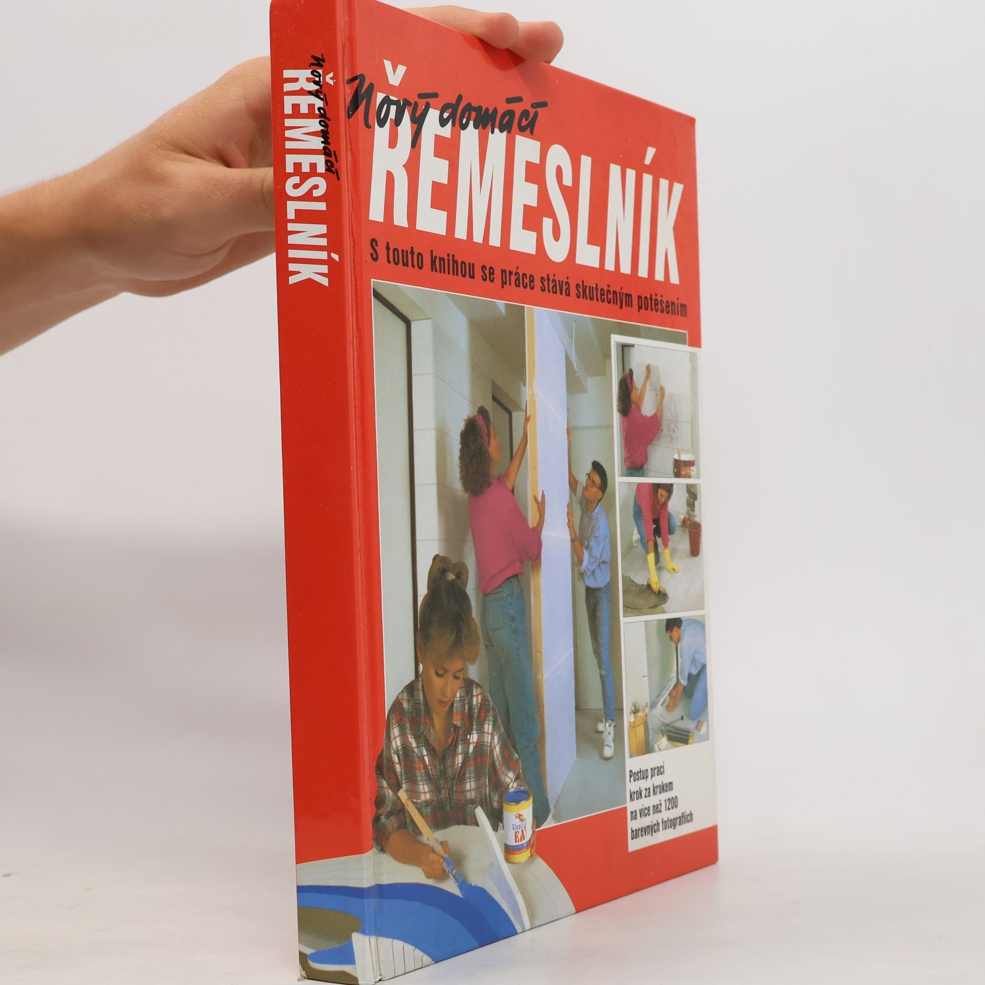Dieter Rex Nový domácí řemeslník