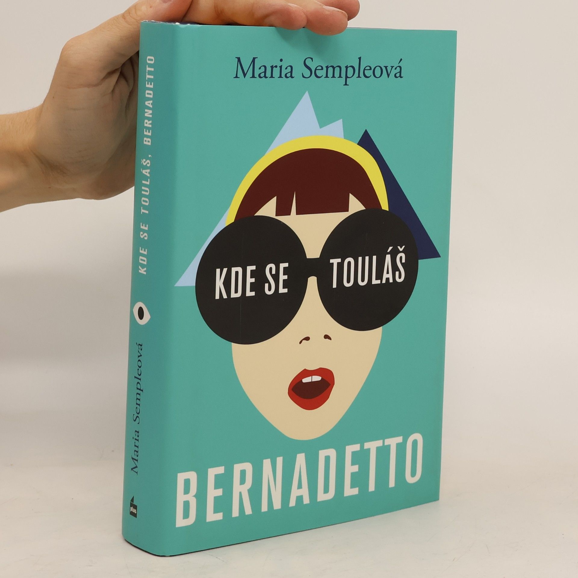 Maria Semple Kde se touláš, Bernadetto