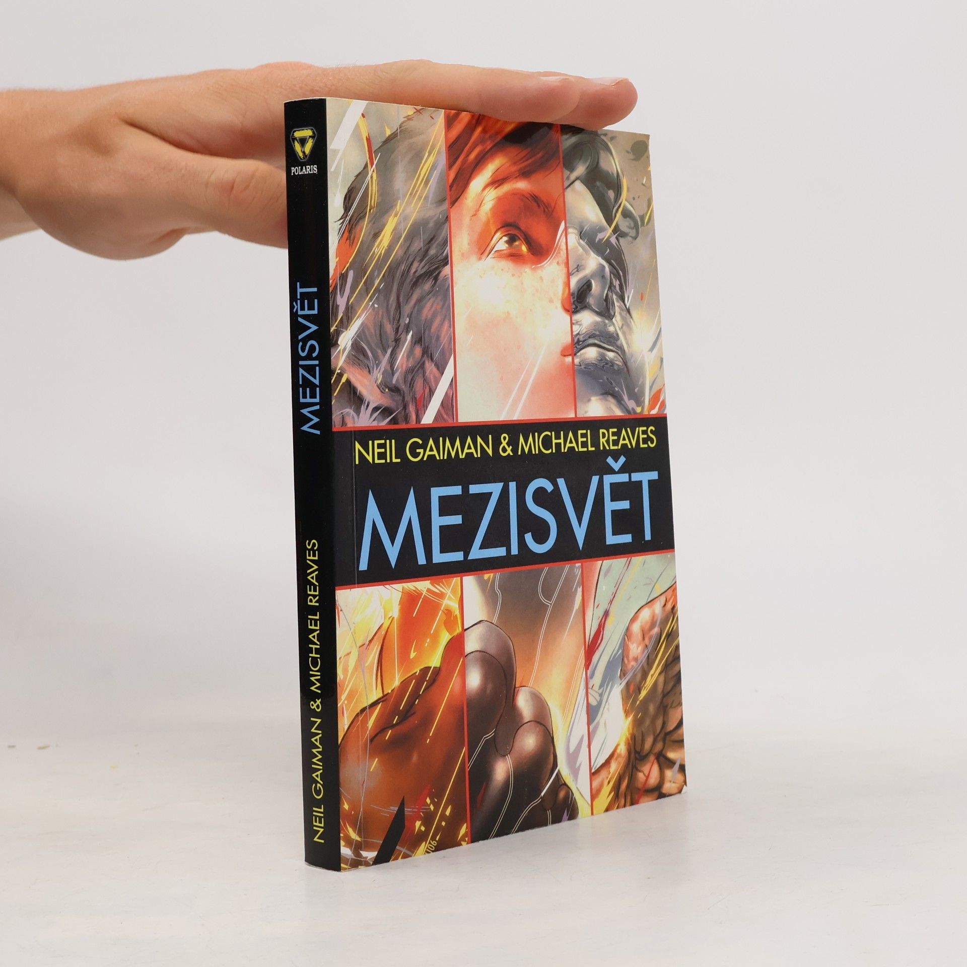 Neil Gaiman Mezisvět