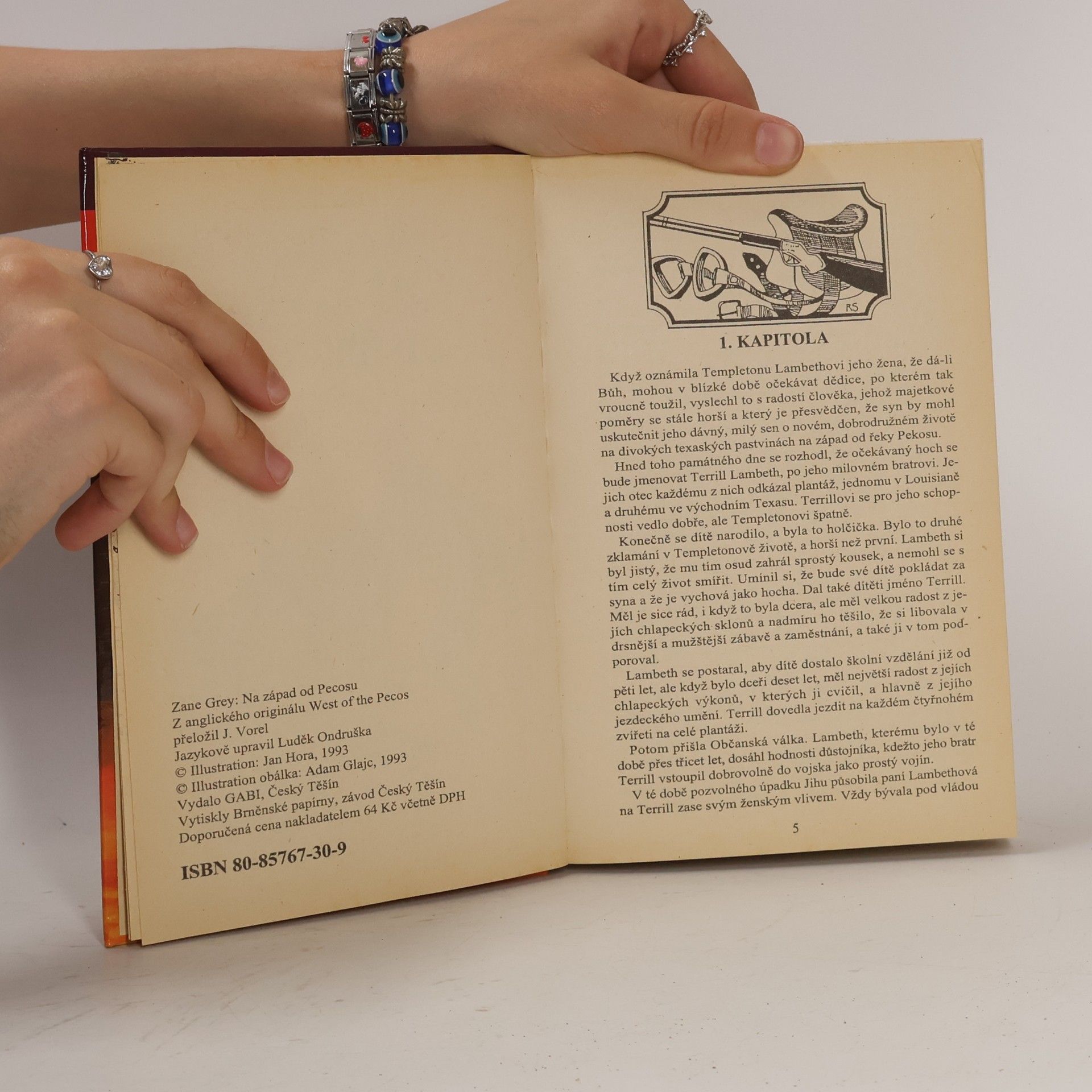 Zane Grey Na západ od Pecosu