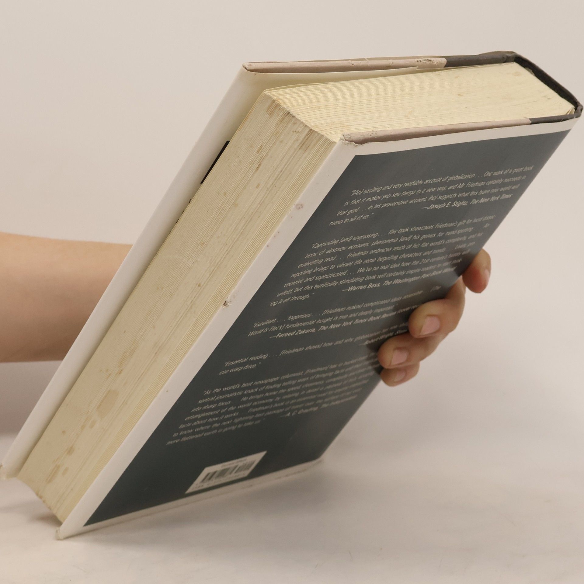Thomas Friedman The world is flat : a brief history of the twenty-first century
