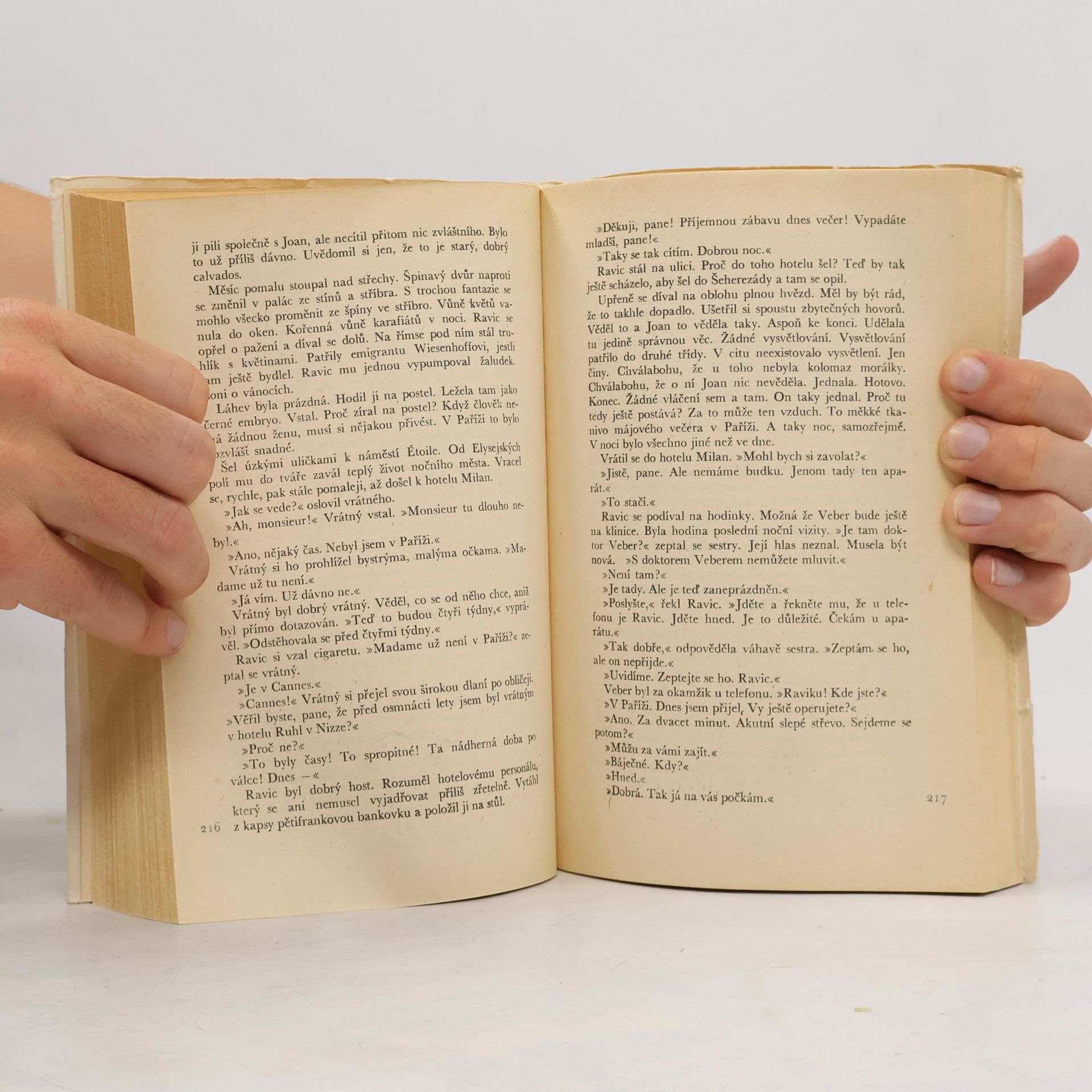 Erich Maria Remarque Vítězný oblouk