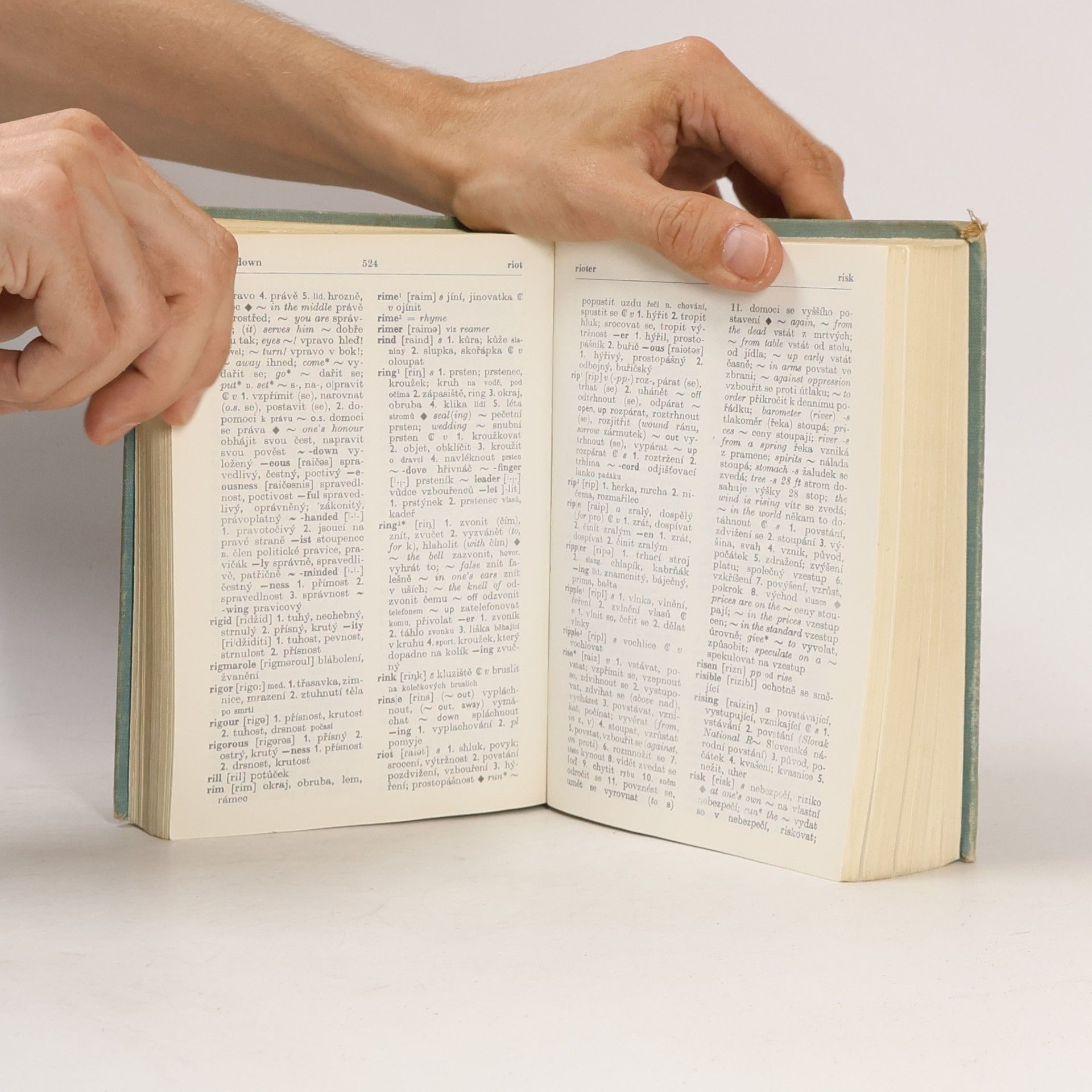 Autorenkollektiv Anglicko-český a česko-anglický slovník