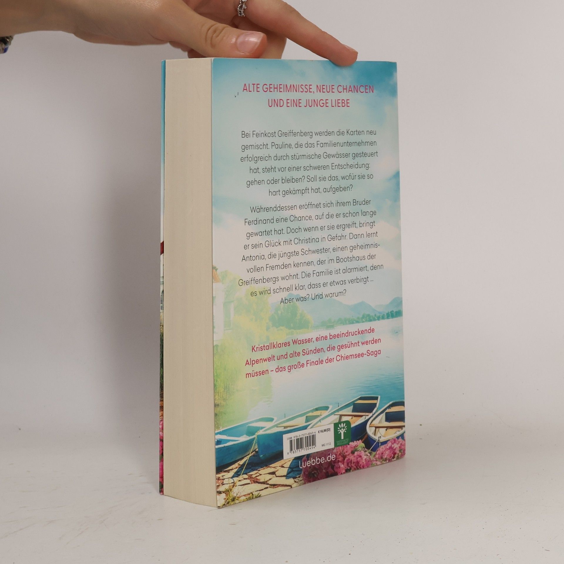 Isabell Schönhoff Hoffnungsvolle Aussichten / Das Erbe der Greiffenbergs Bd.3