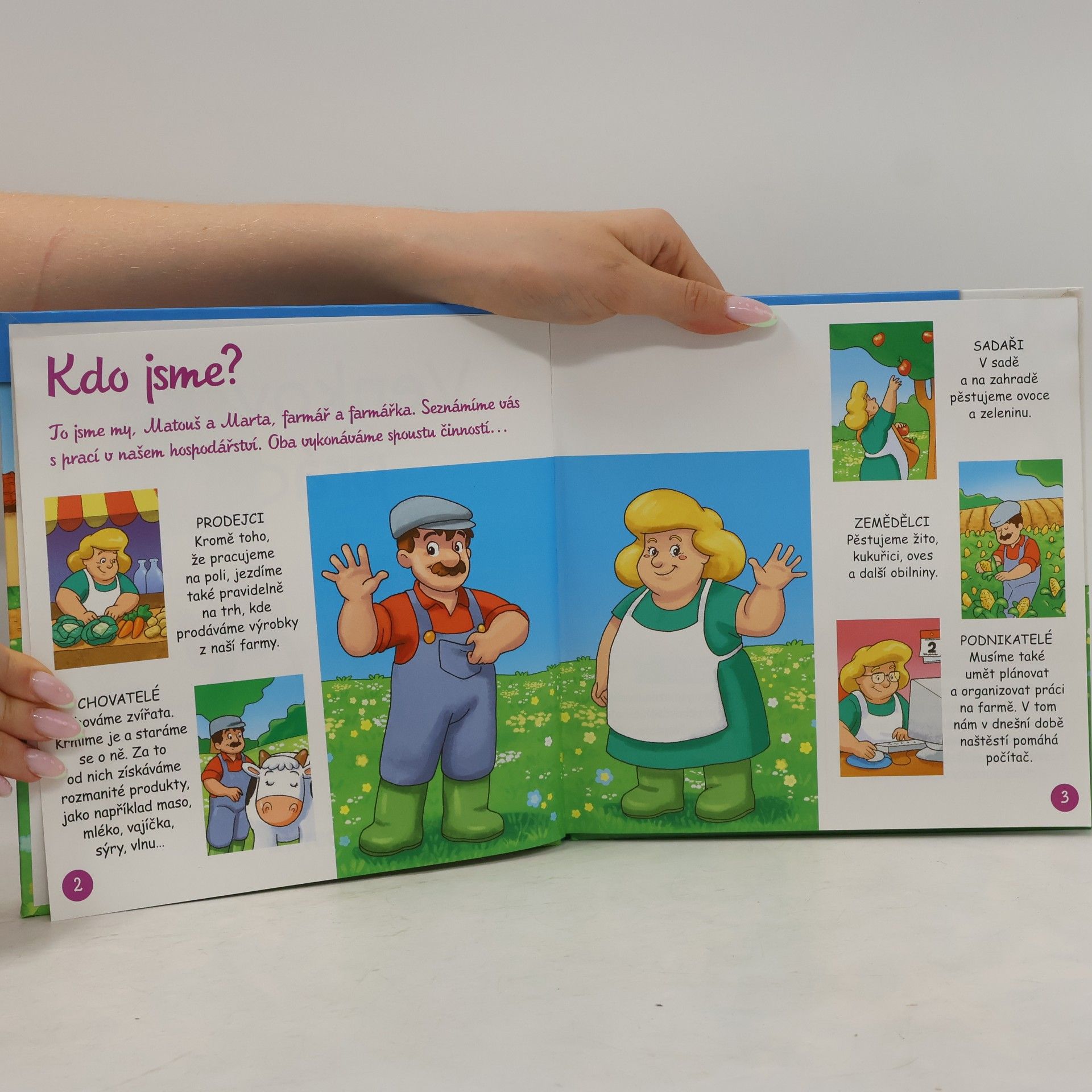 Autorenkollektiv V hospodářství 35. Venkovské práce