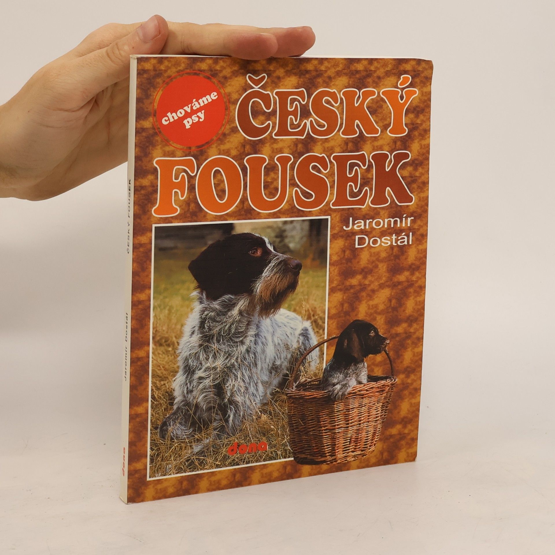 Český fousek