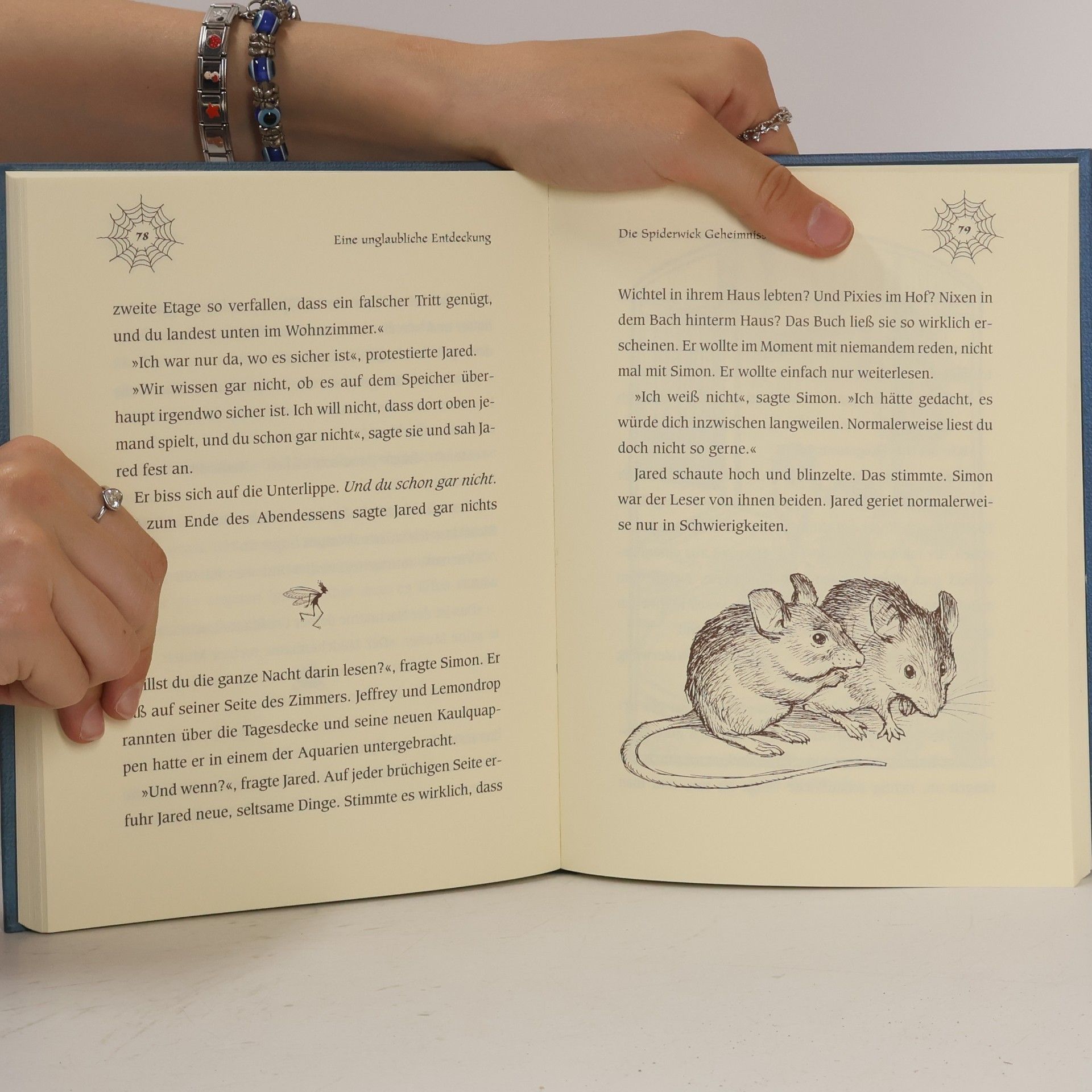 Tony DiTerlizzi Die Spiderwick-Geheimnisse: Eine unglaubliche Entdeckung