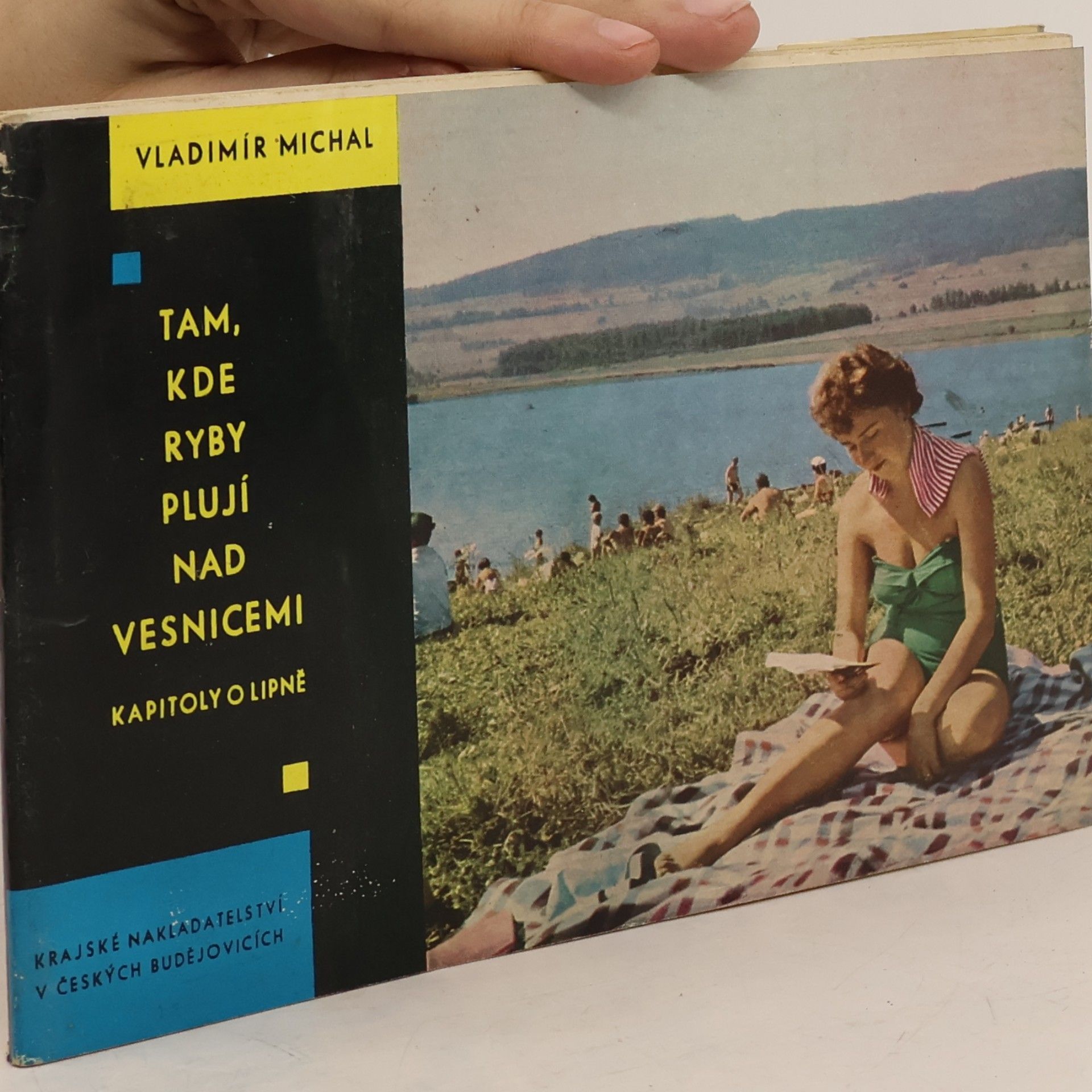 Julie Prokopová Tam, kde ryby plují nad vesnicemi
