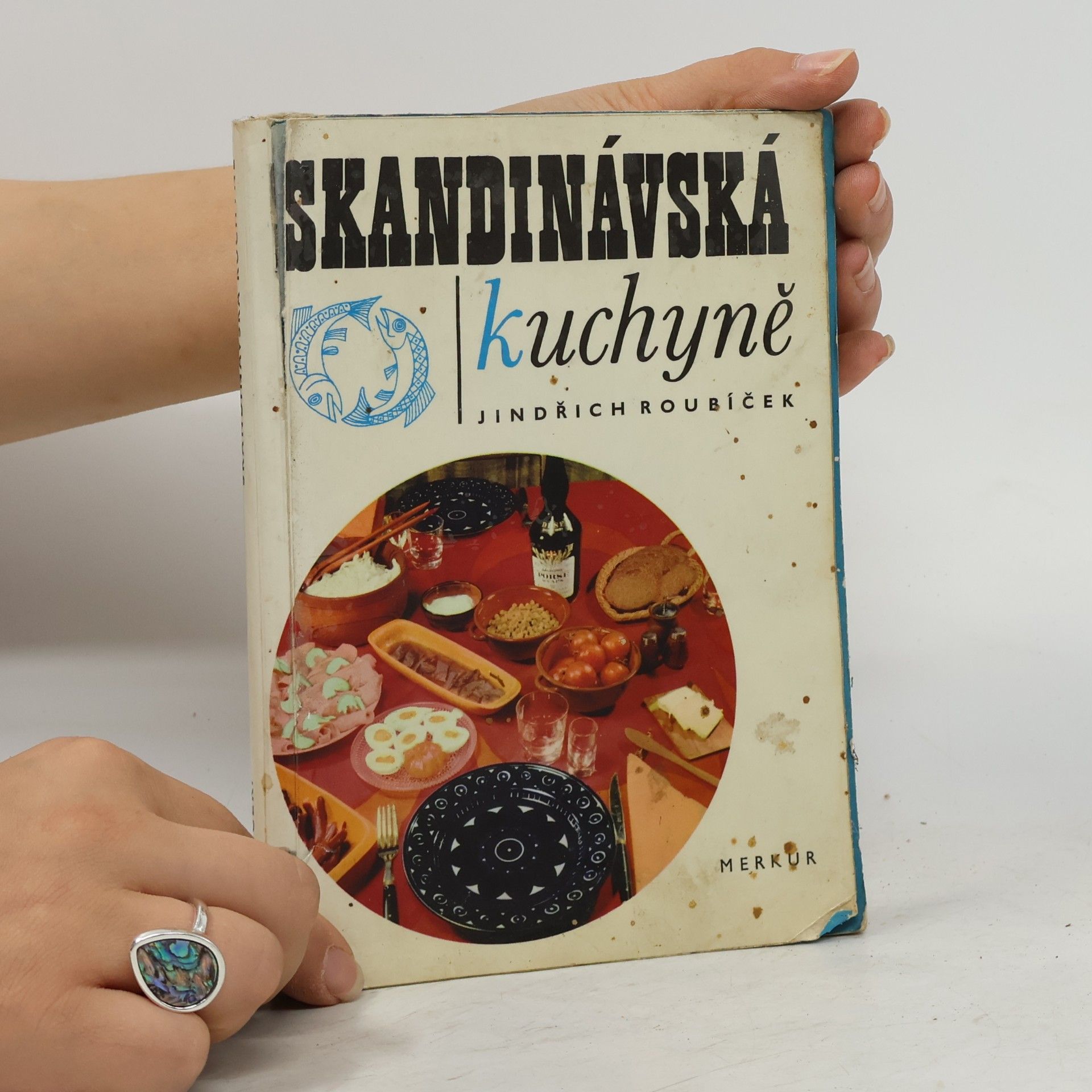 Jindřich Roubíček Skandinávská kuchyně