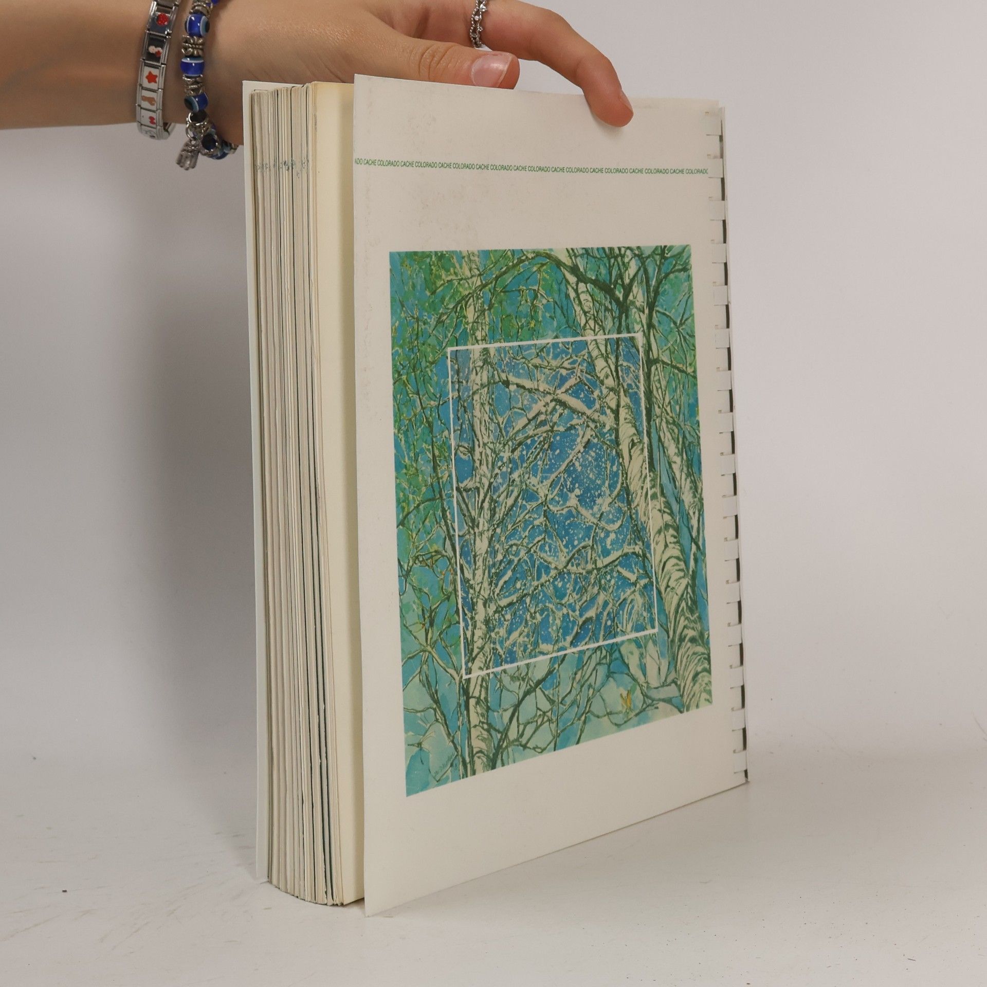 Various authors Colorado Cache Cookbook