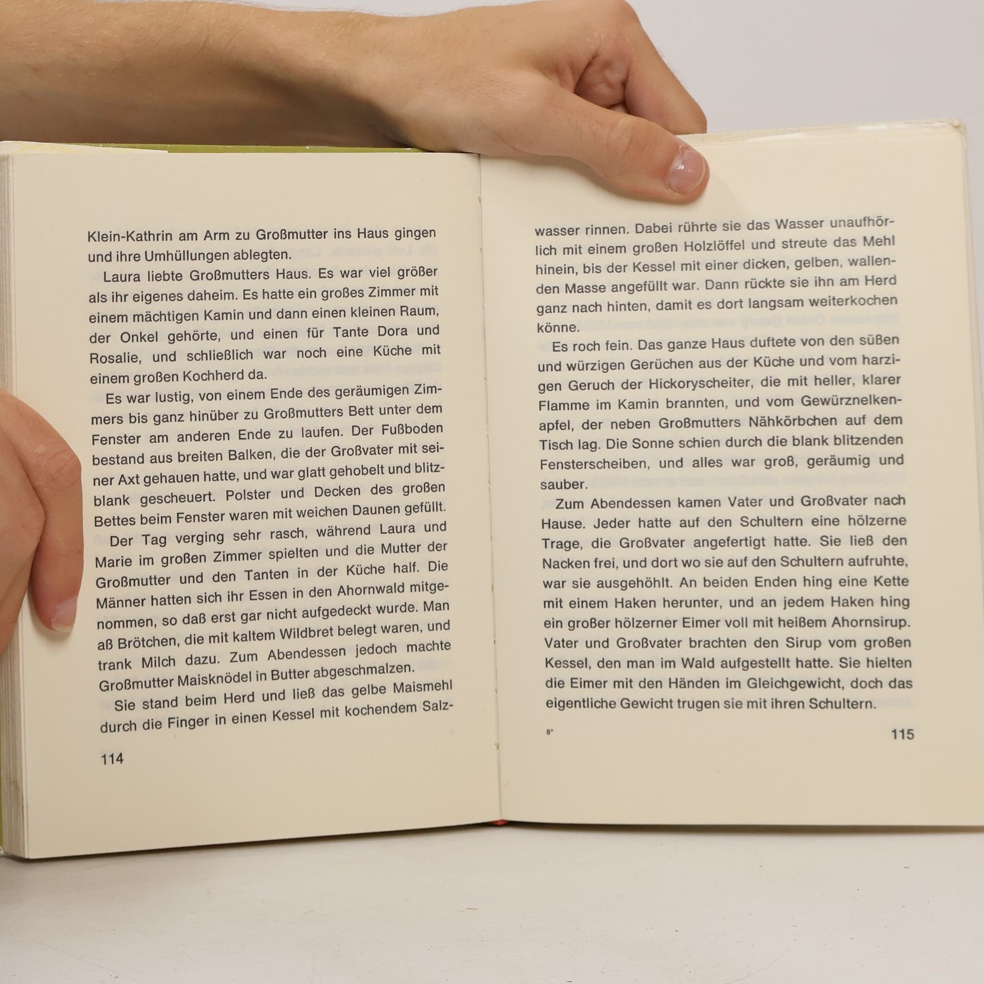 L. Ingalls Wilder Laura. Kleines Mädchen im grossen Wald