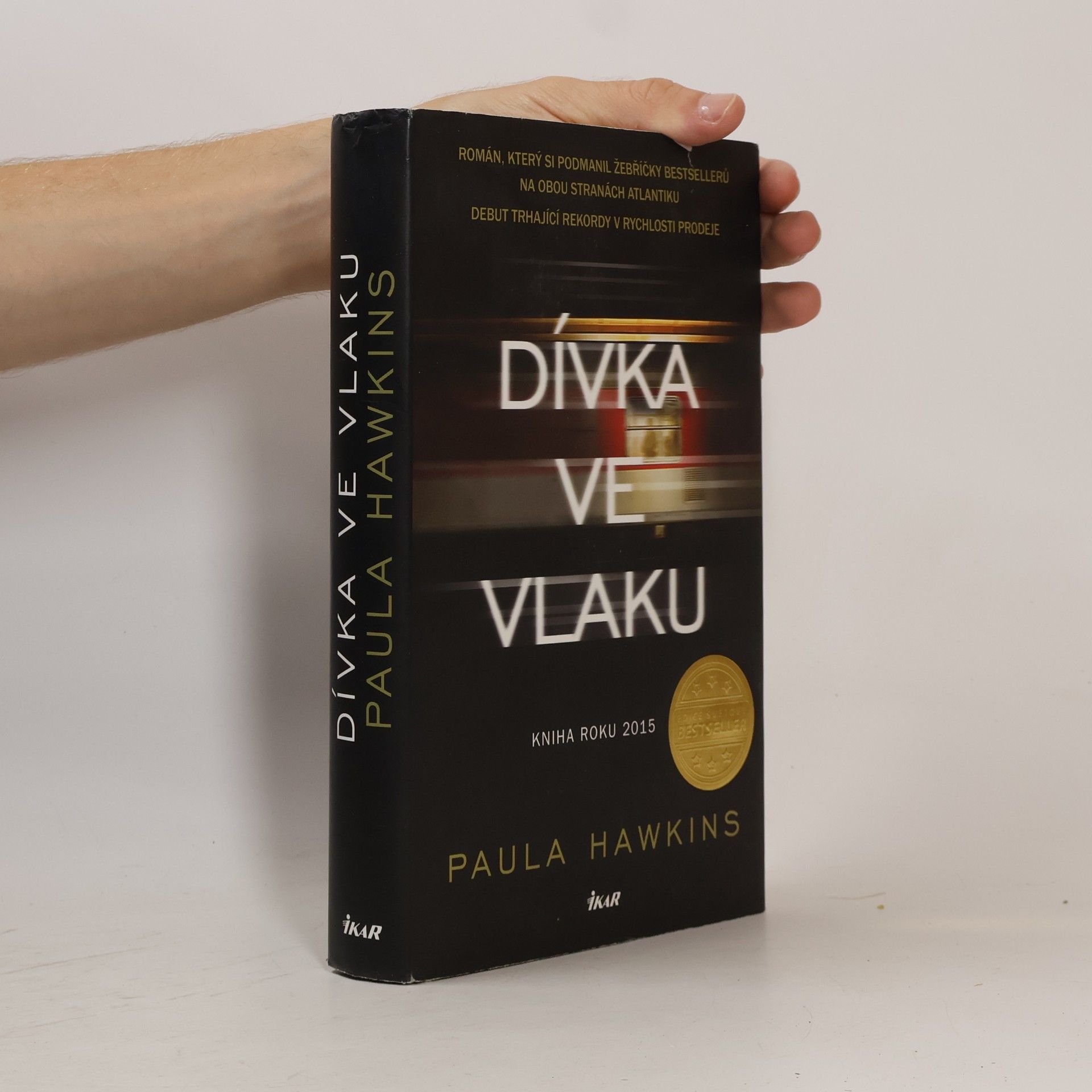 Dívka ve vlaku