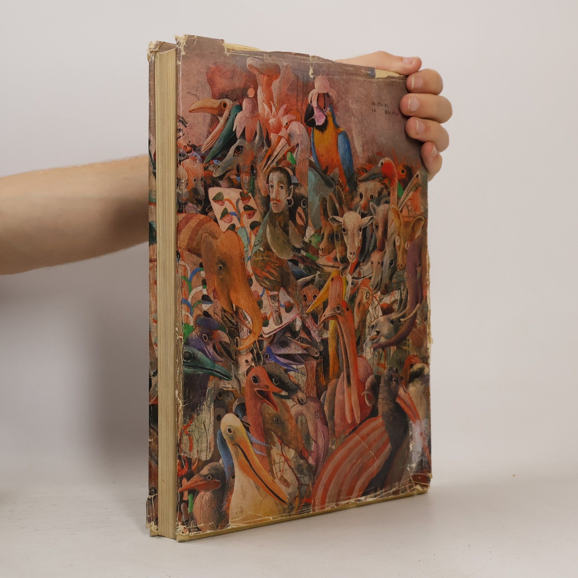 Lewis Carroll Alica v krajine zázrakov